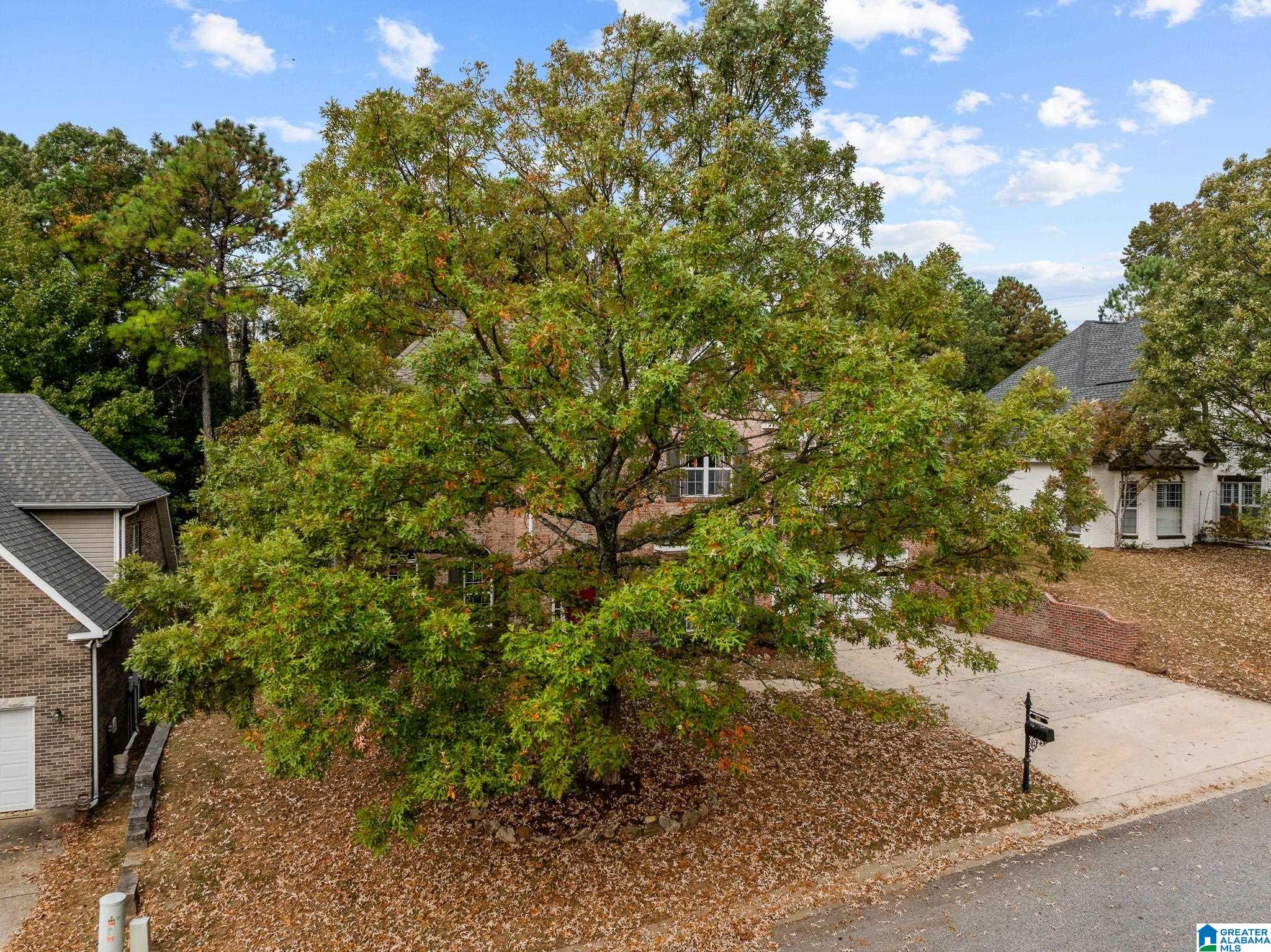 561 WHITE STONE WAY