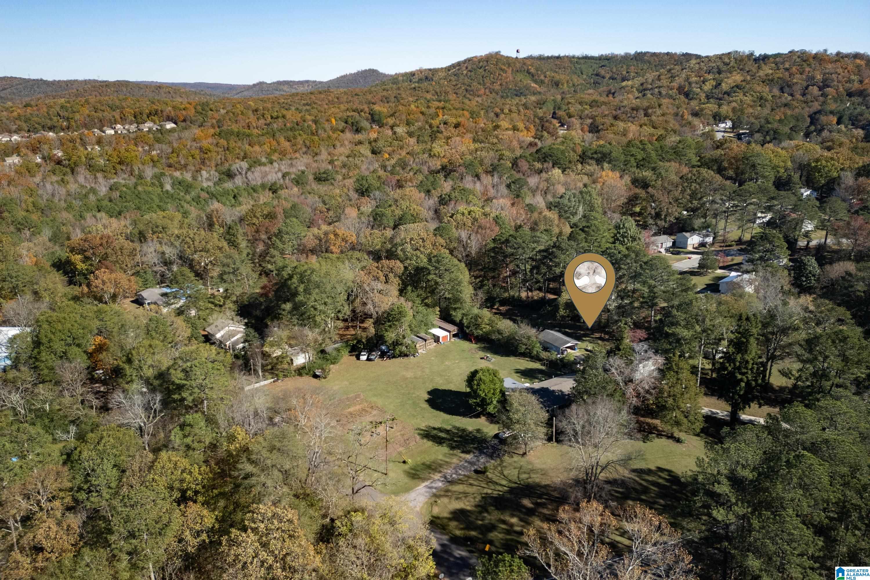5412 DUG HOLLOW ROAD