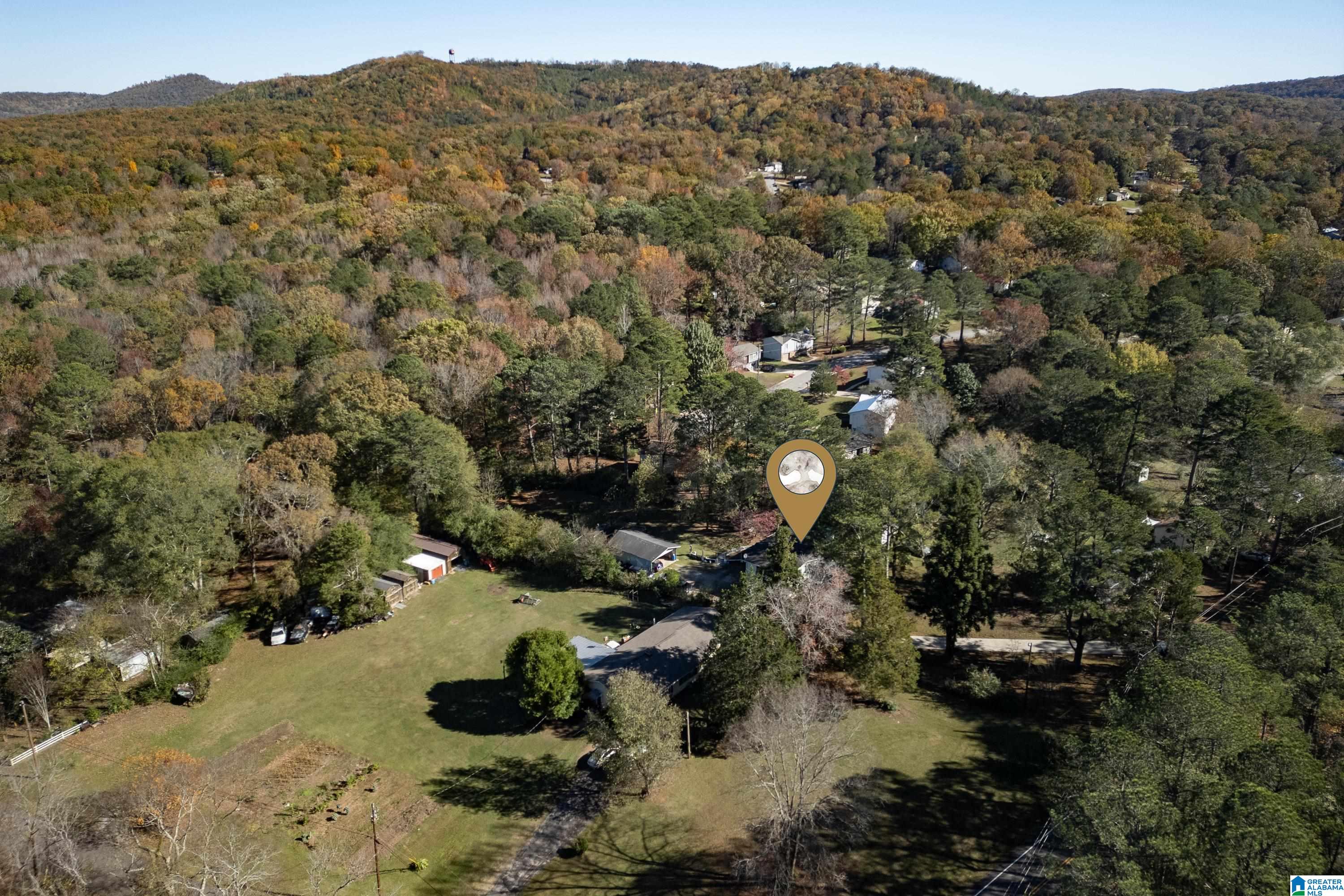 5412 DUG HOLLOW ROAD