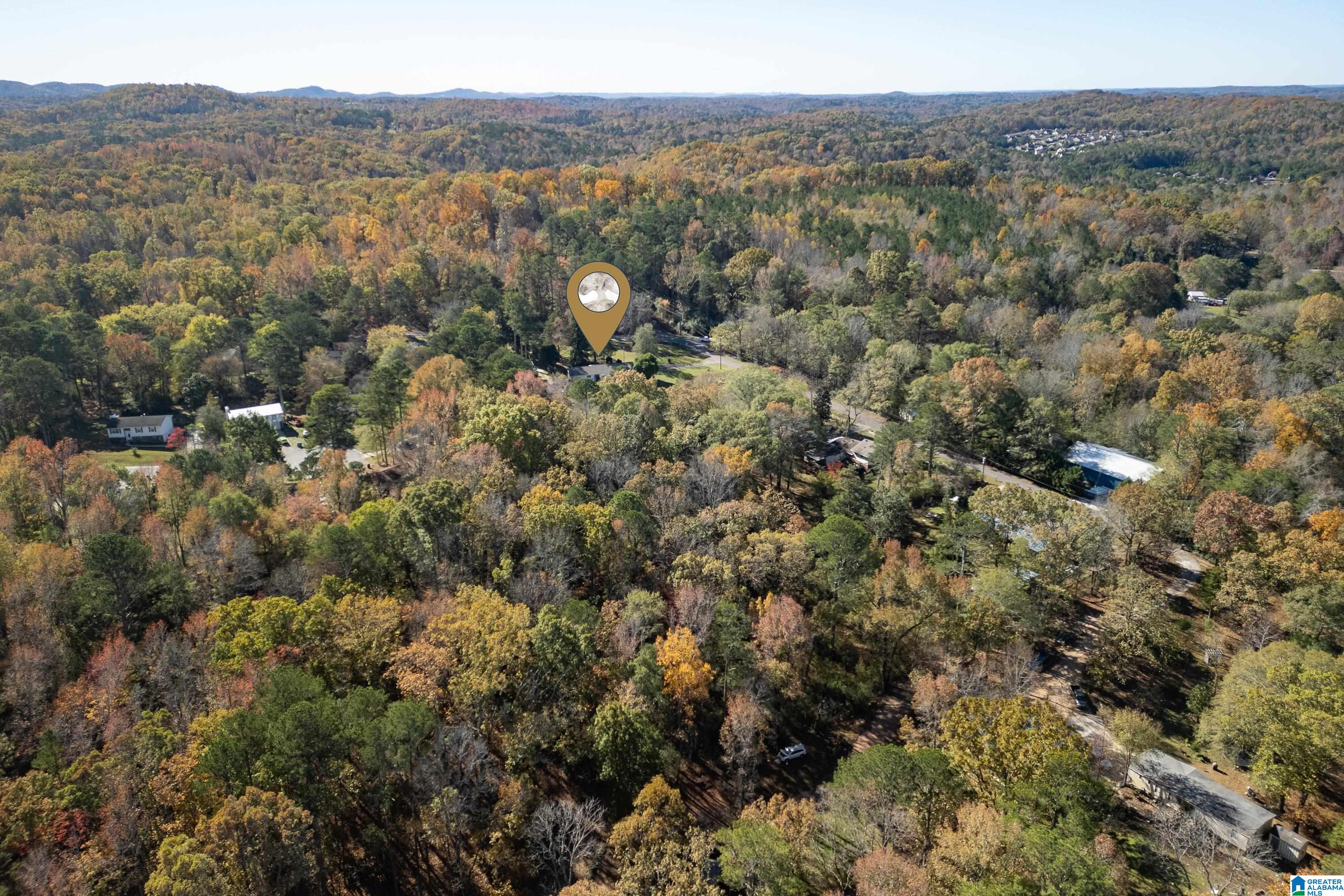 5412 DUG HOLLOW ROAD