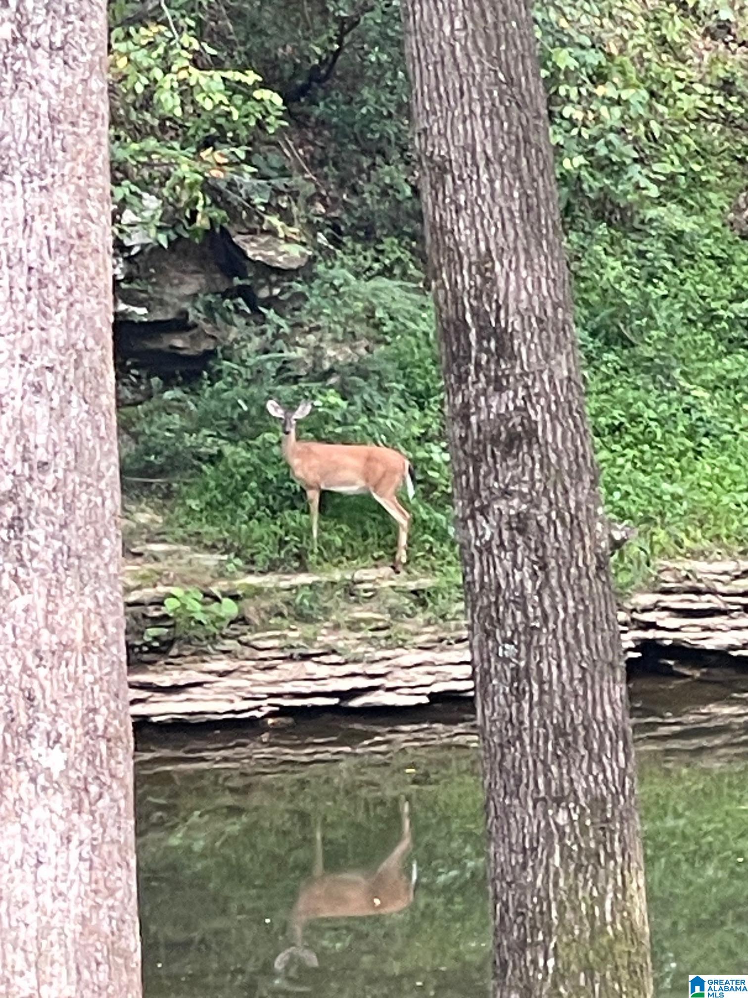 2089 HIGHLAND GATE WAY