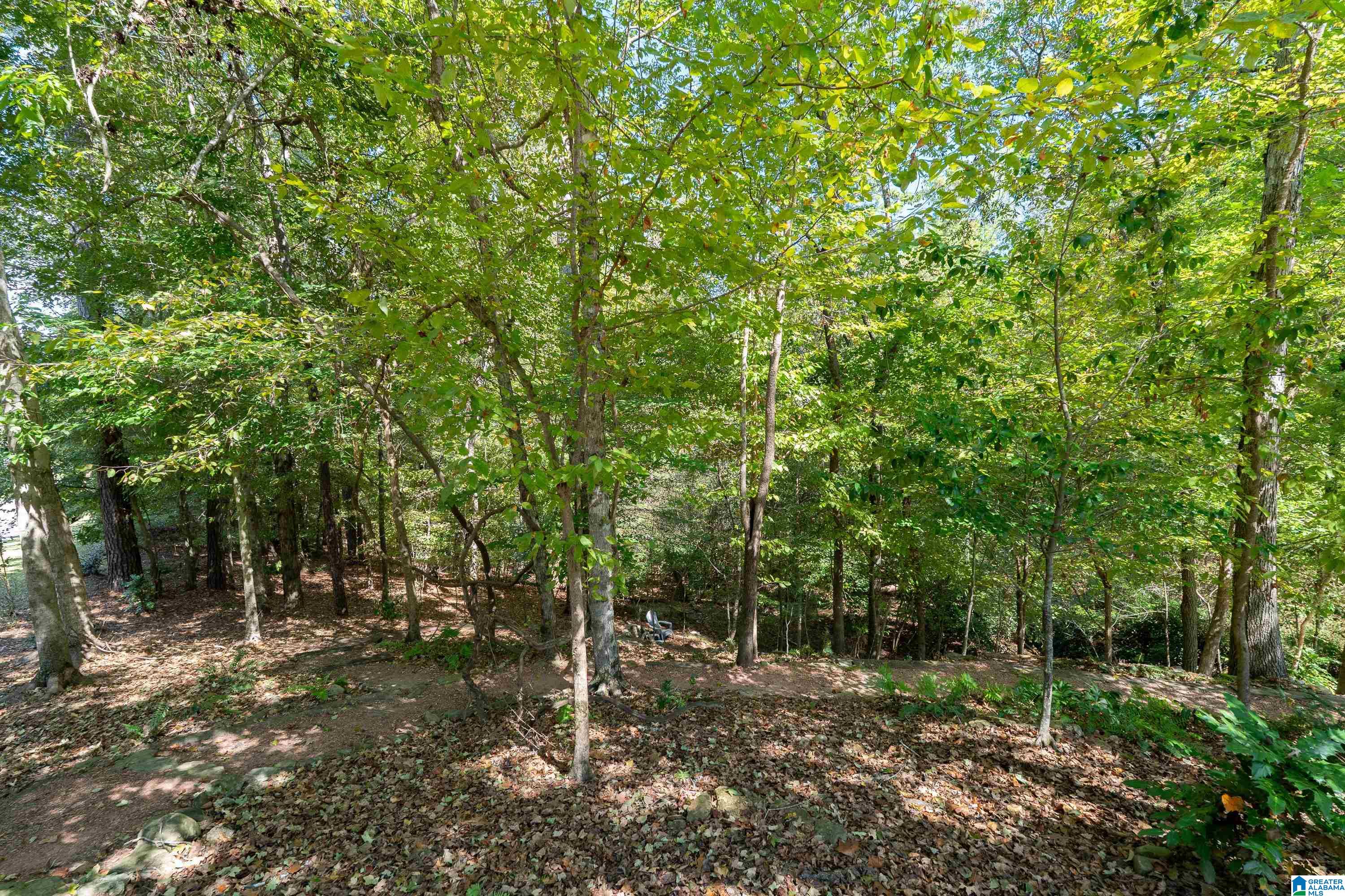 125 COSHATT TRAIL