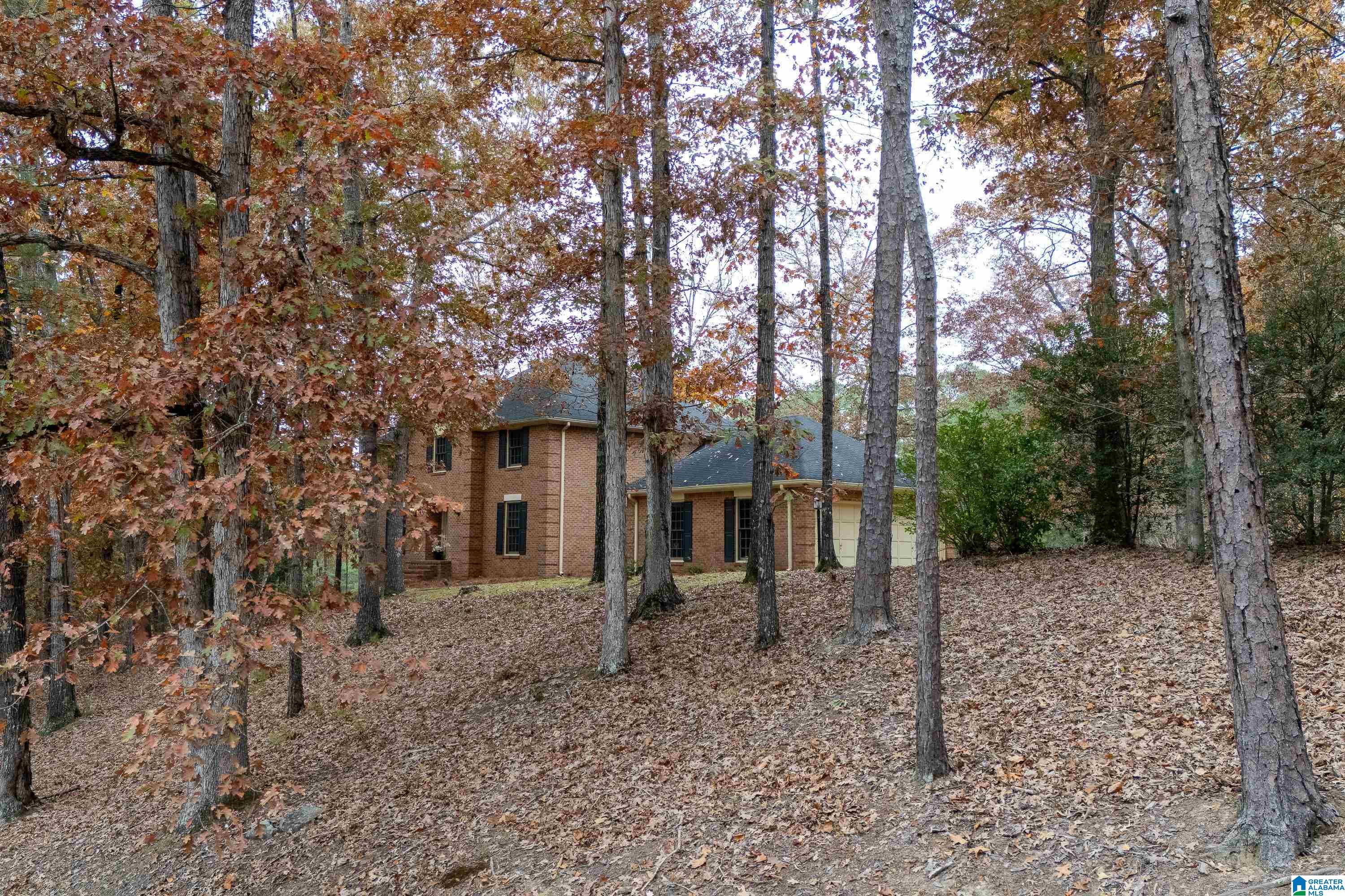 2023 CLUB ROAD