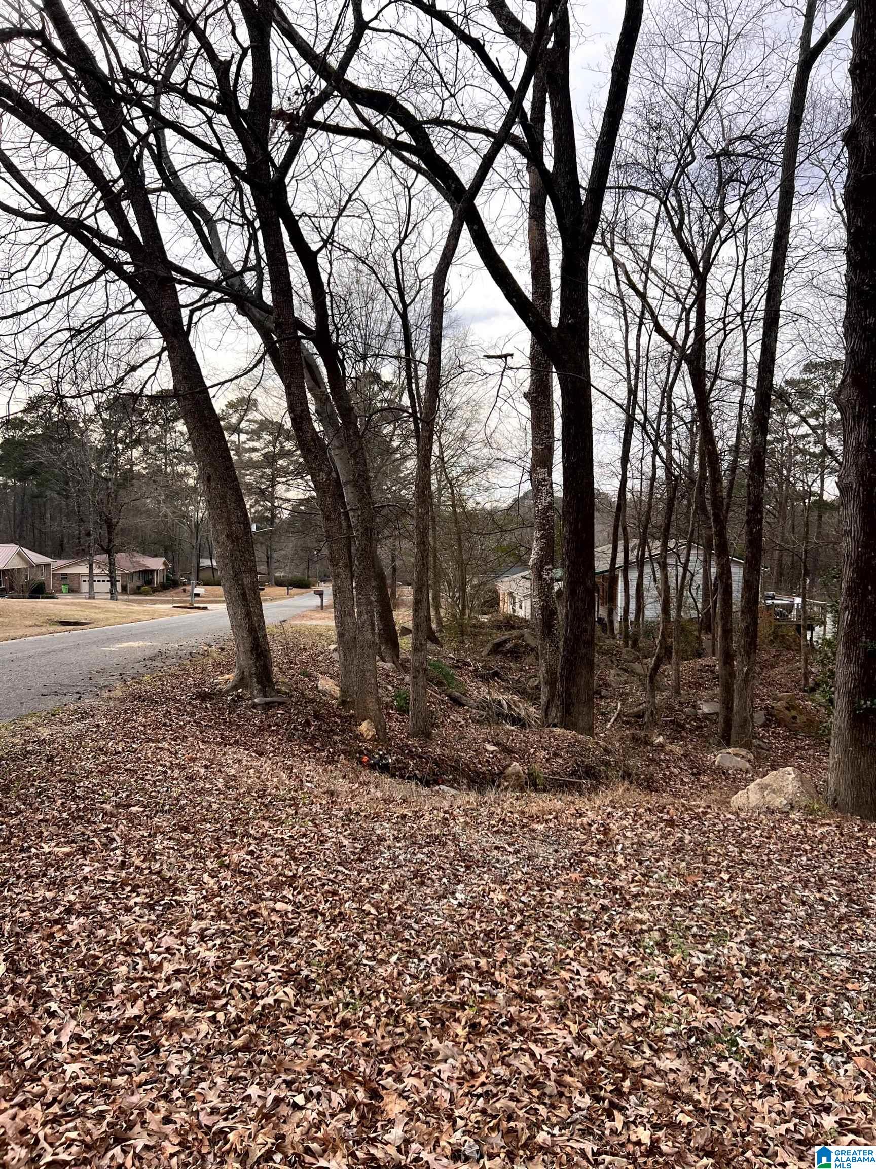 2237 LISA ANN DRIVE SE