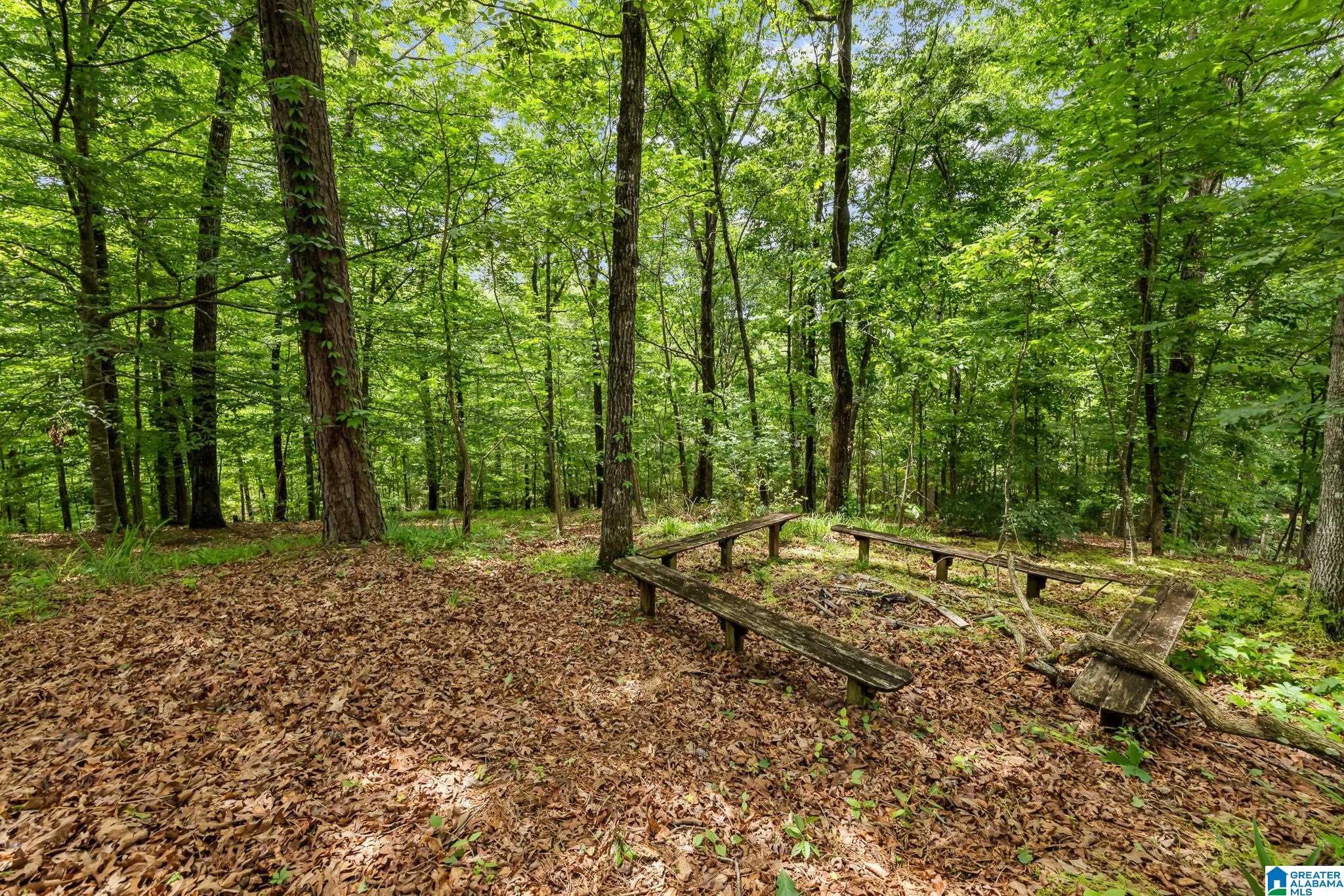 504 HILLOCK TRACE