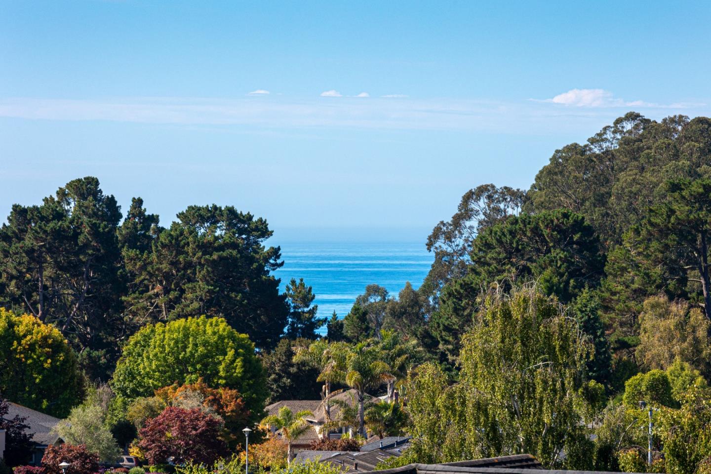 230 Thunderbird Drive