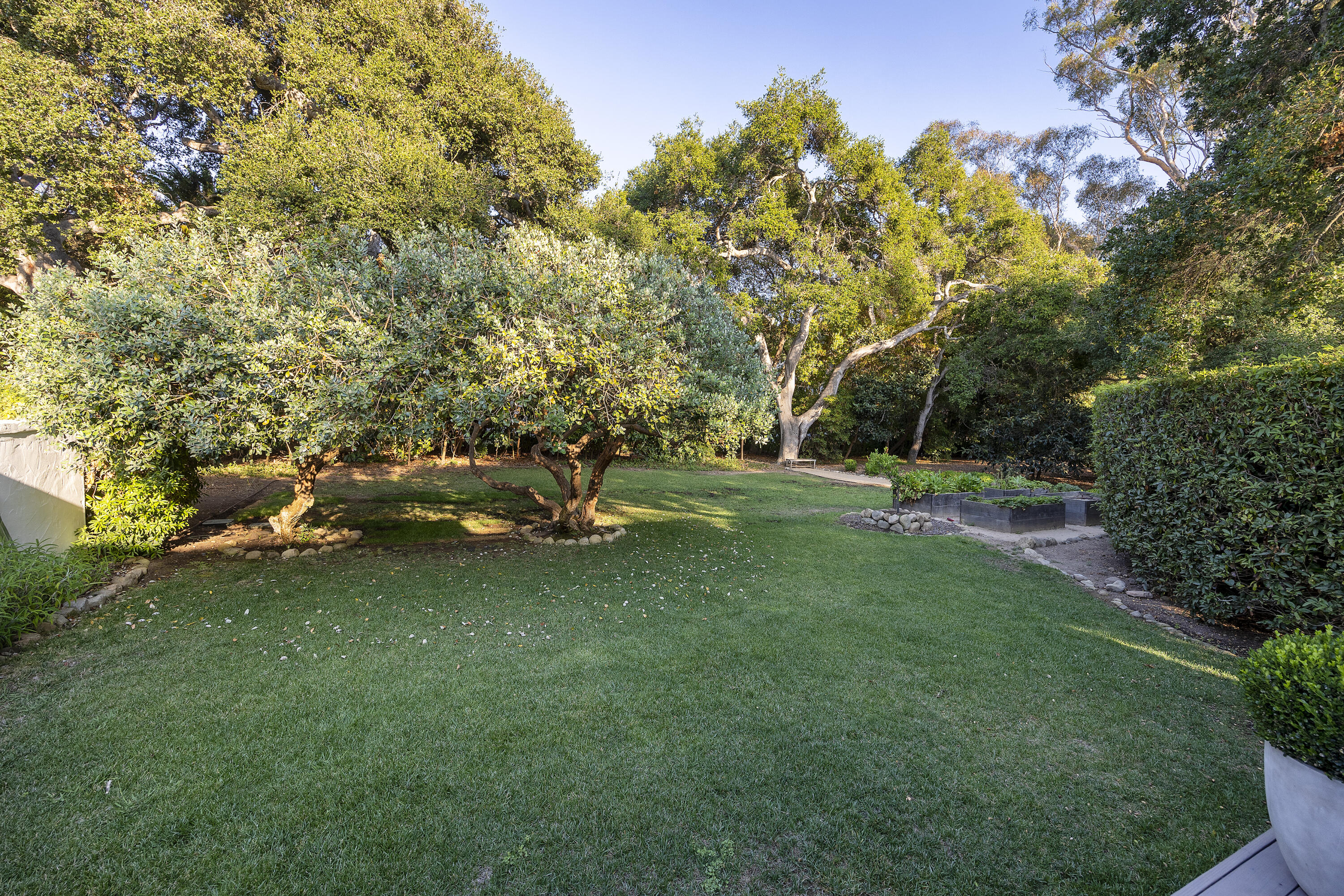 1586 San Leandro Lane