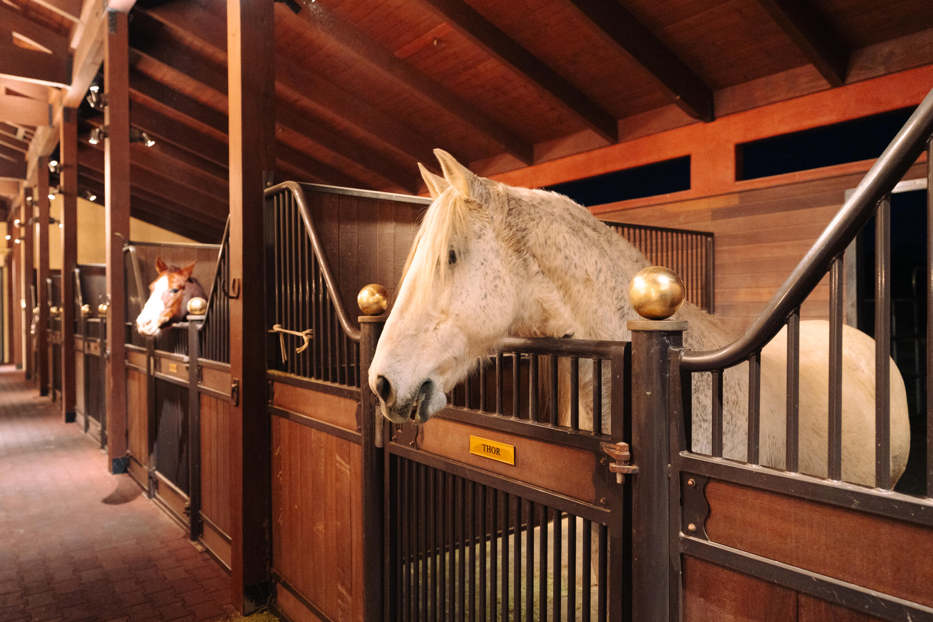 338 Toro Canyon Road