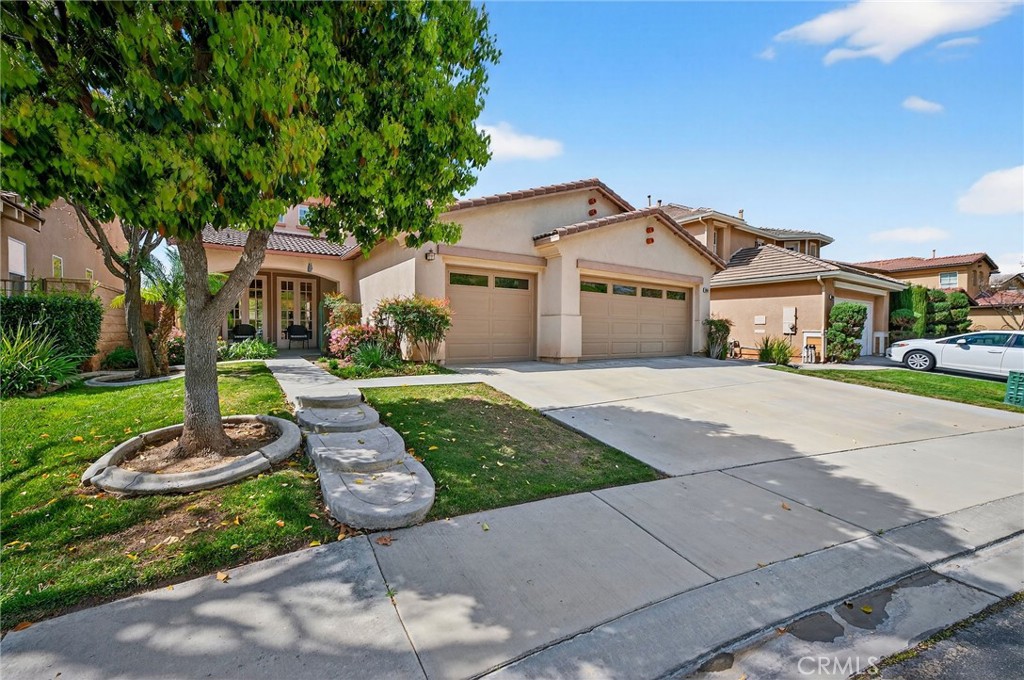 35667 Bowervine Place