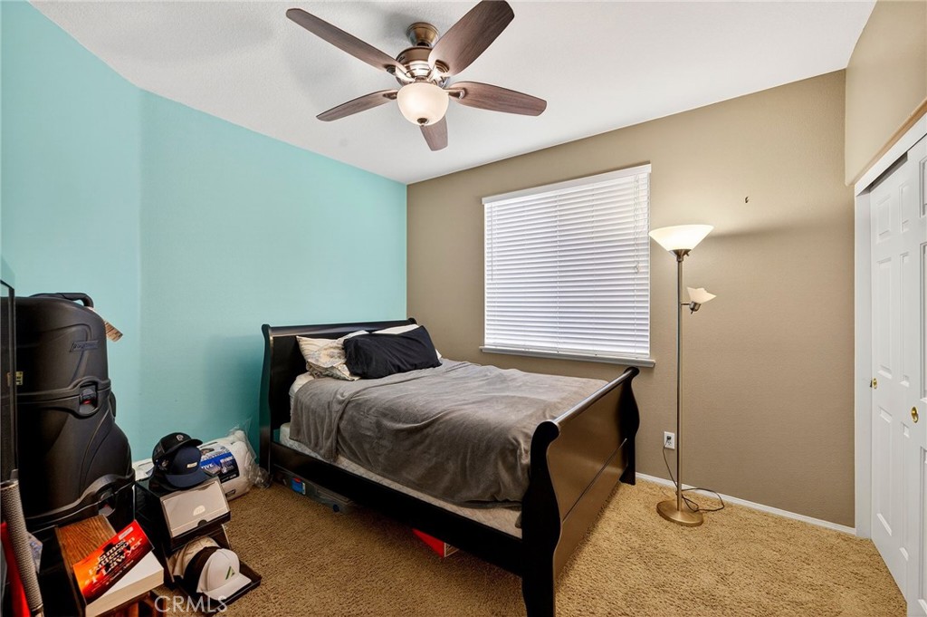 35667 Bowervine Place