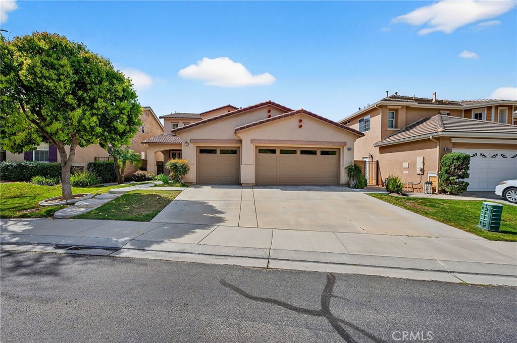 35667 Bowervine Place