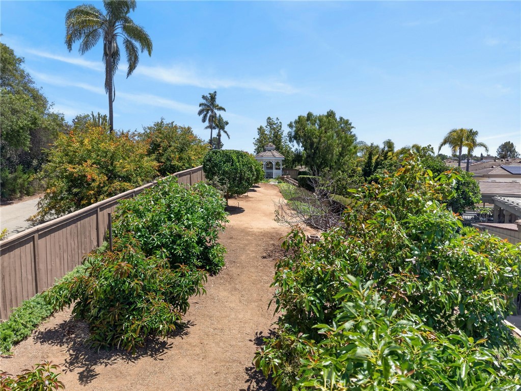 2020 Avocado Knoll Lane