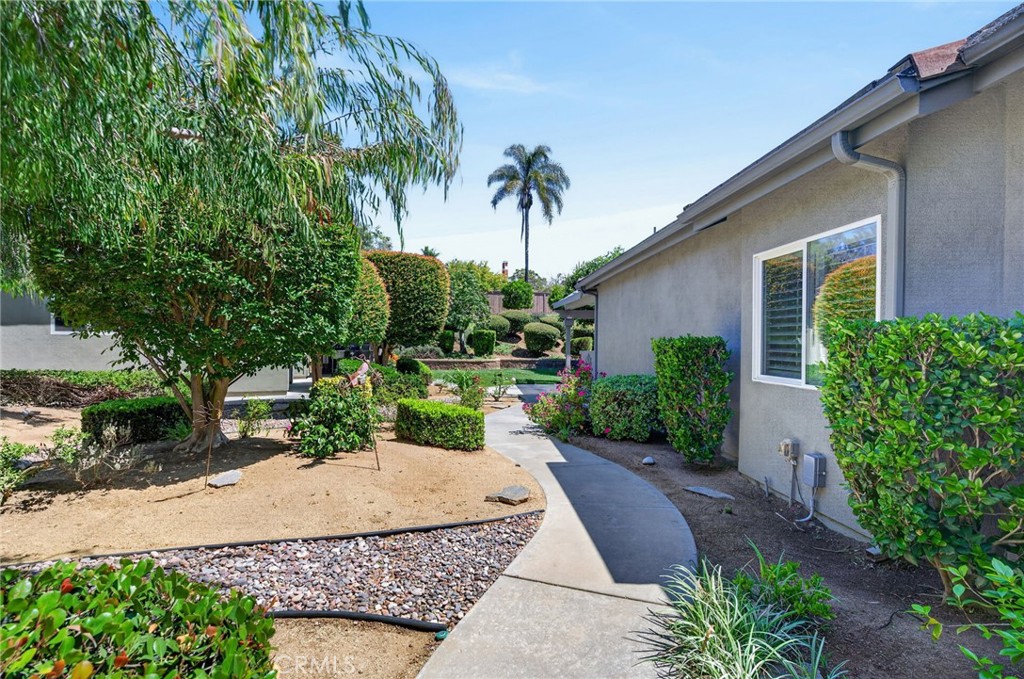 2020 Avocado Knoll Lane