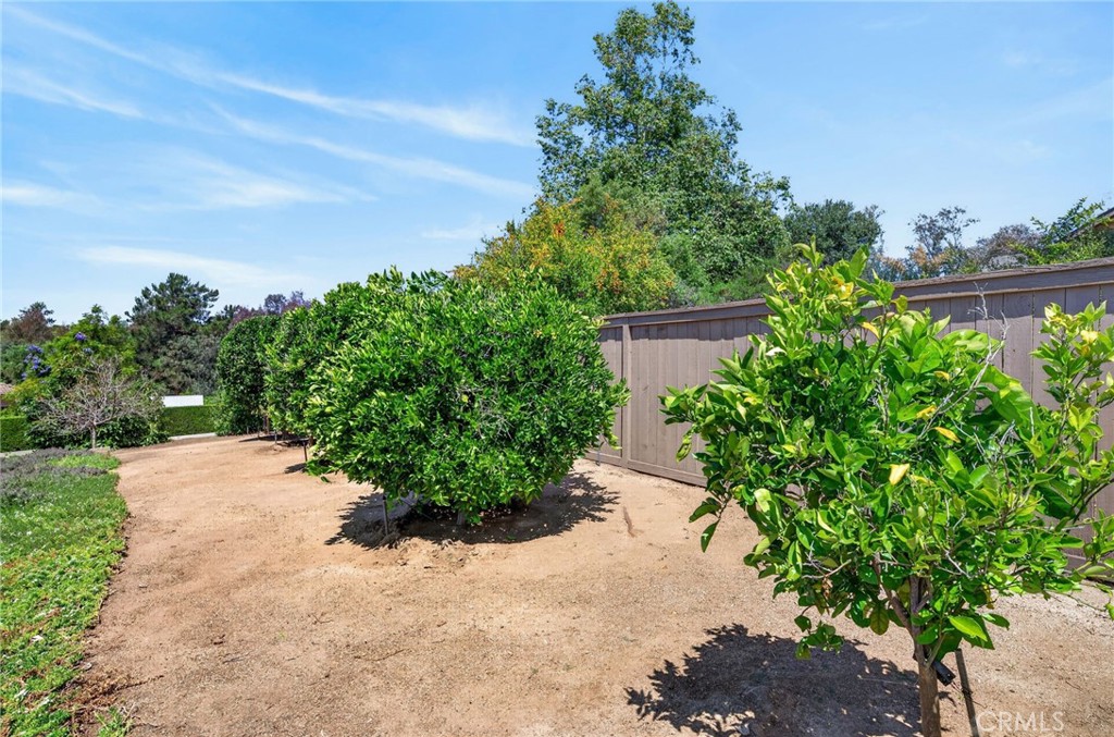 2020 Avocado Knoll Lane