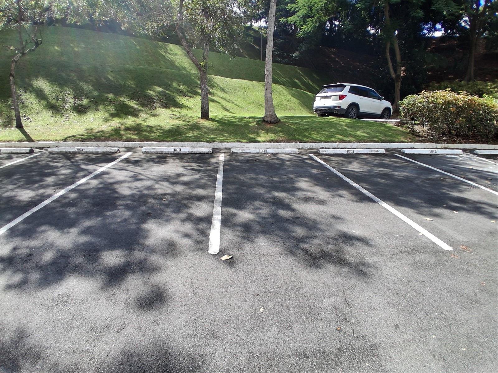 1500 LOS ROMEROS AVE. JARDINES DE MONTEHIEDRA1 #1003