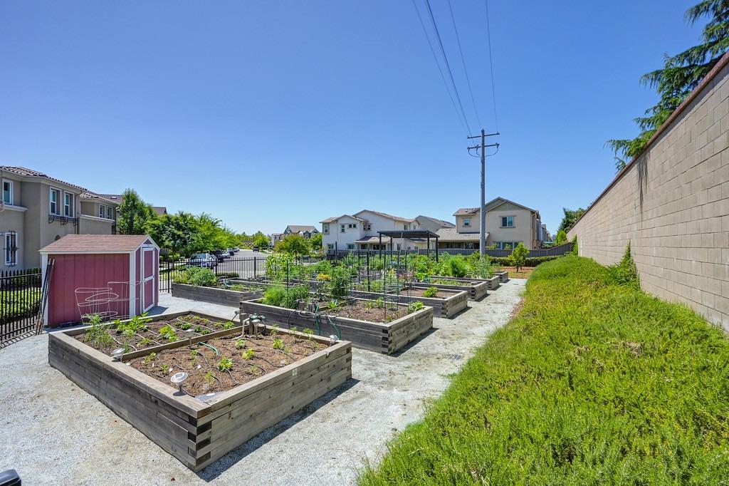 3616 Troy Dalton Street