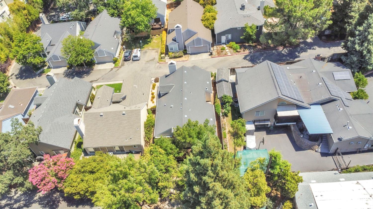 4407 Andrew Alan Lane