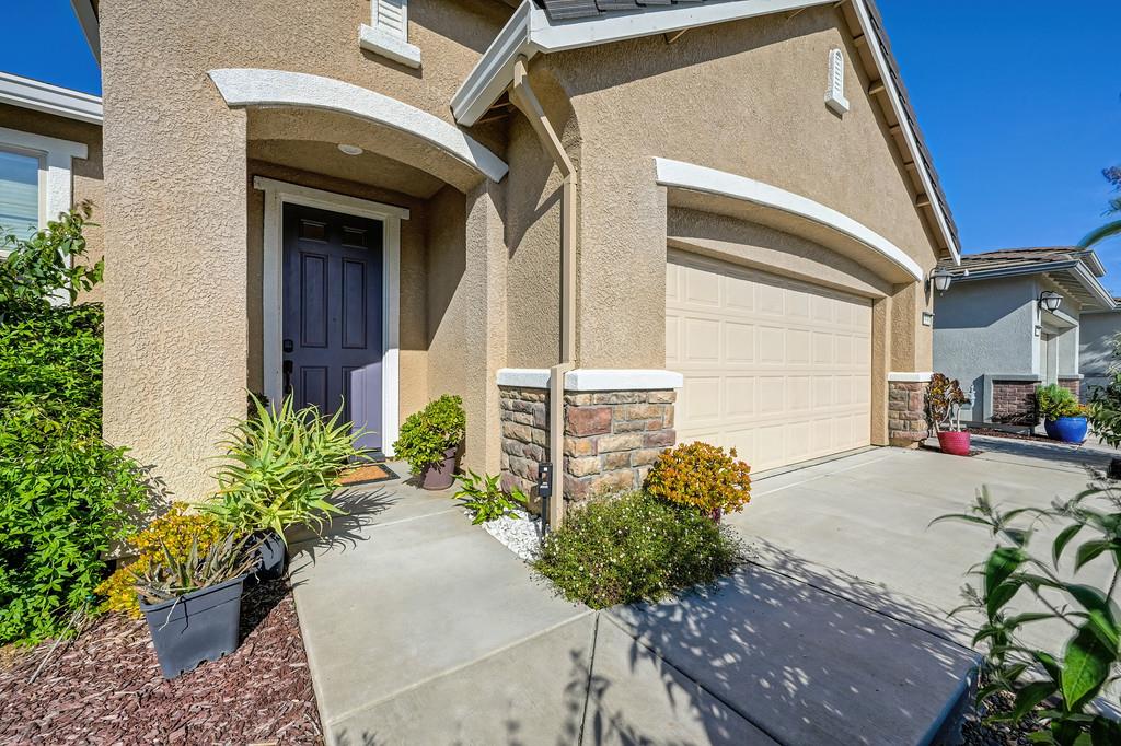 9096 Vervain Way