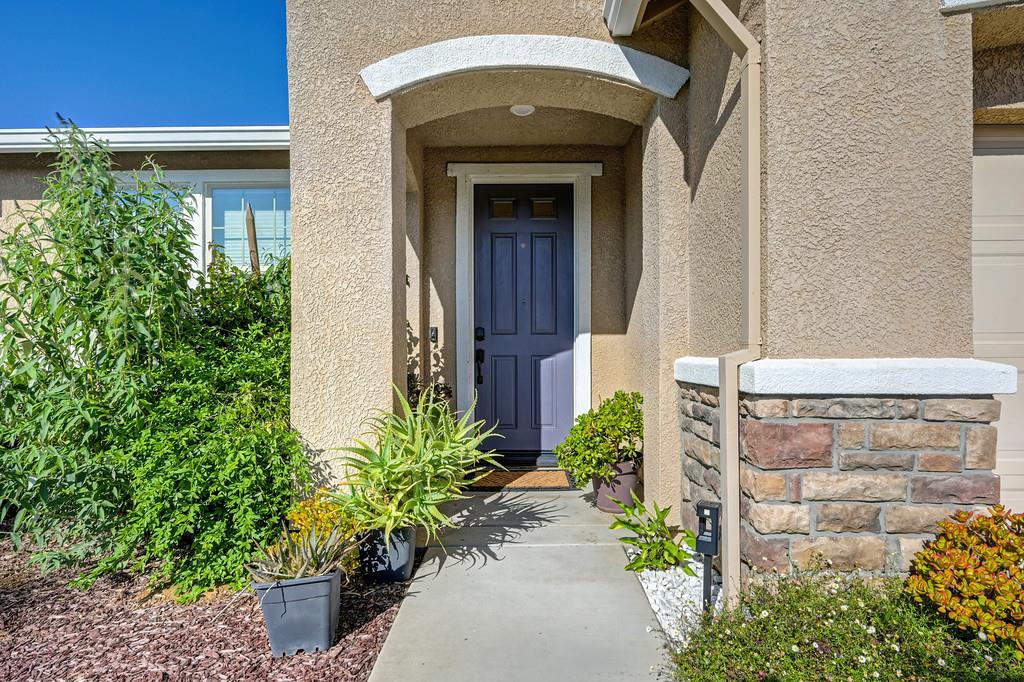 9096 Vervain Way