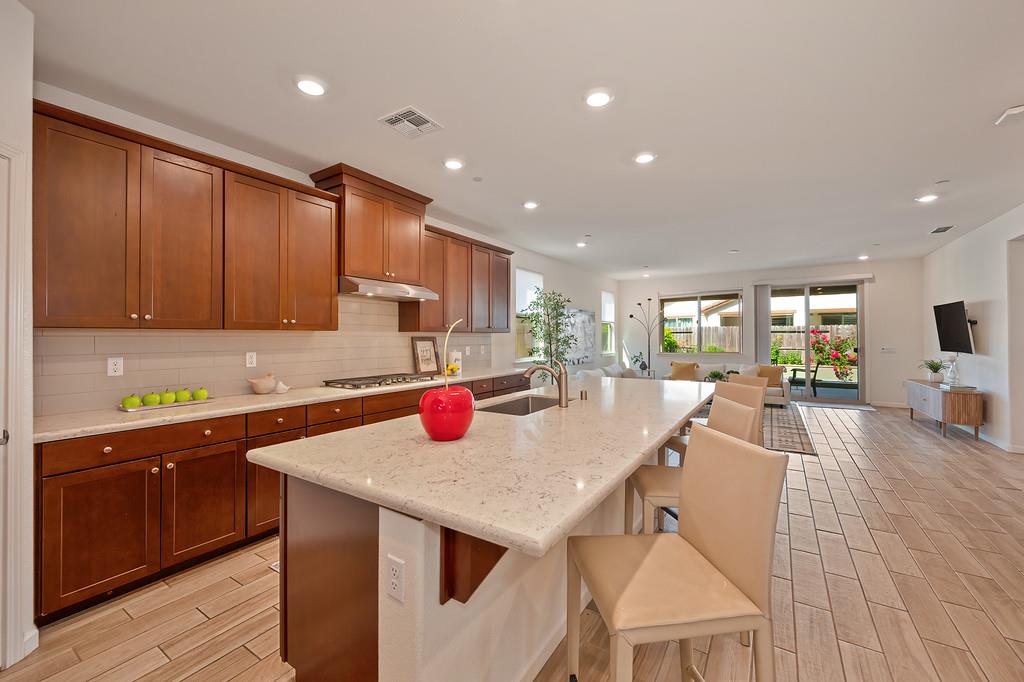 9096 Vervain Way