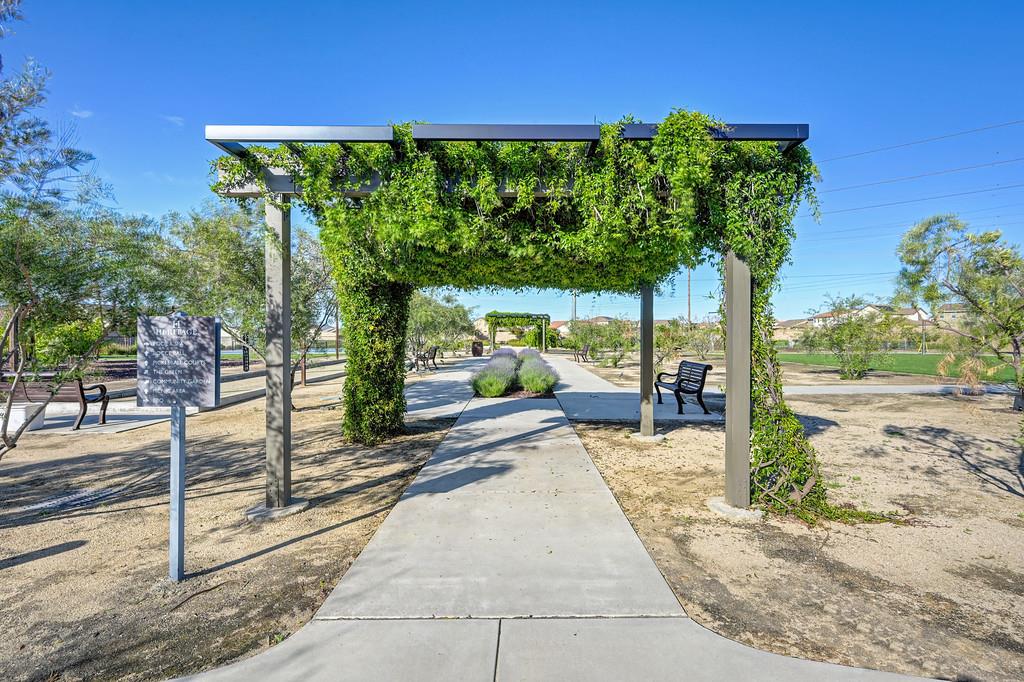 9096 Vervain Way