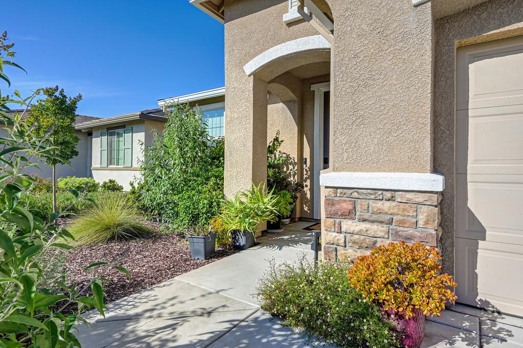 9096 Vervain Way