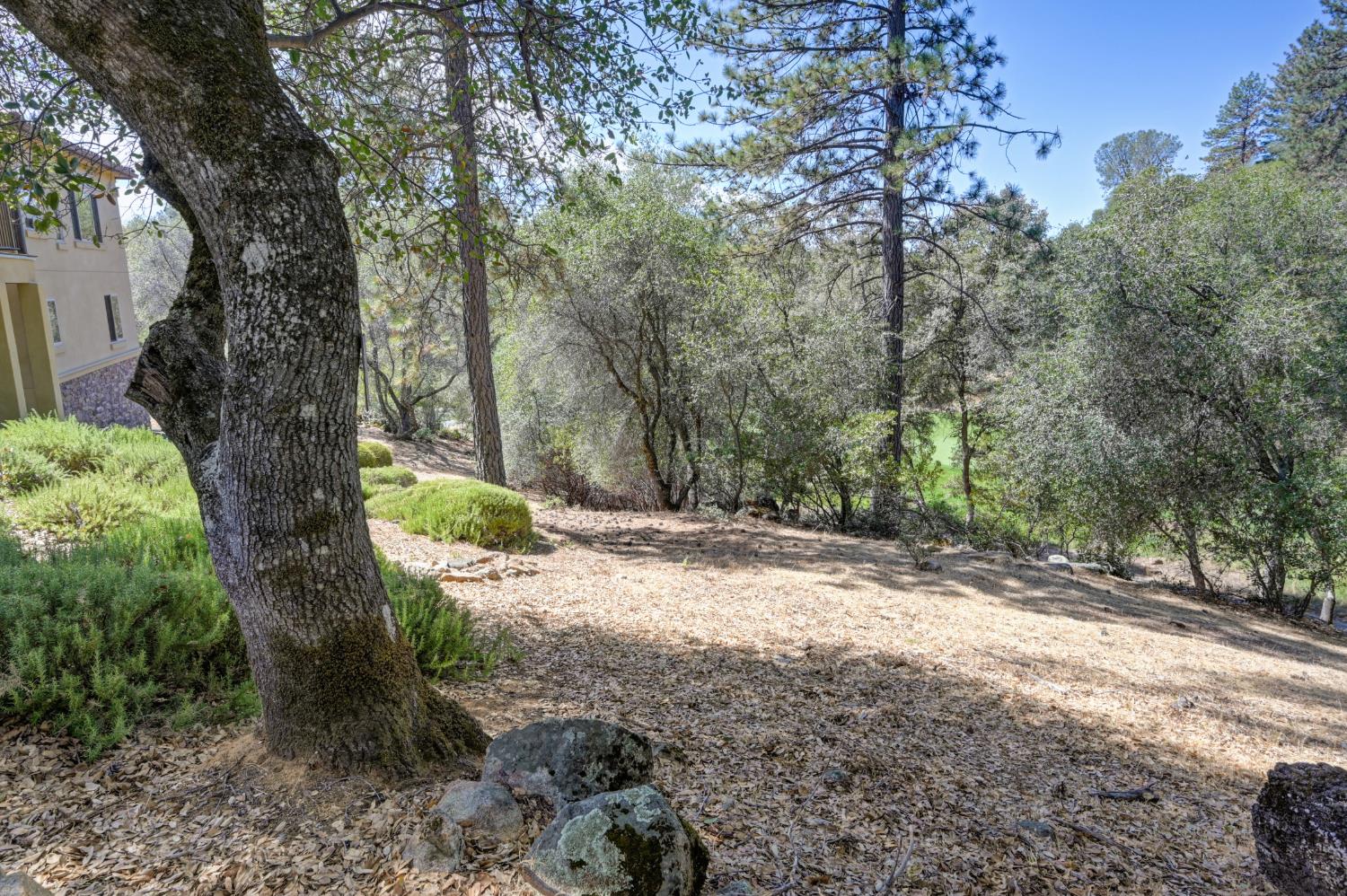 1480 Lodge View Drive