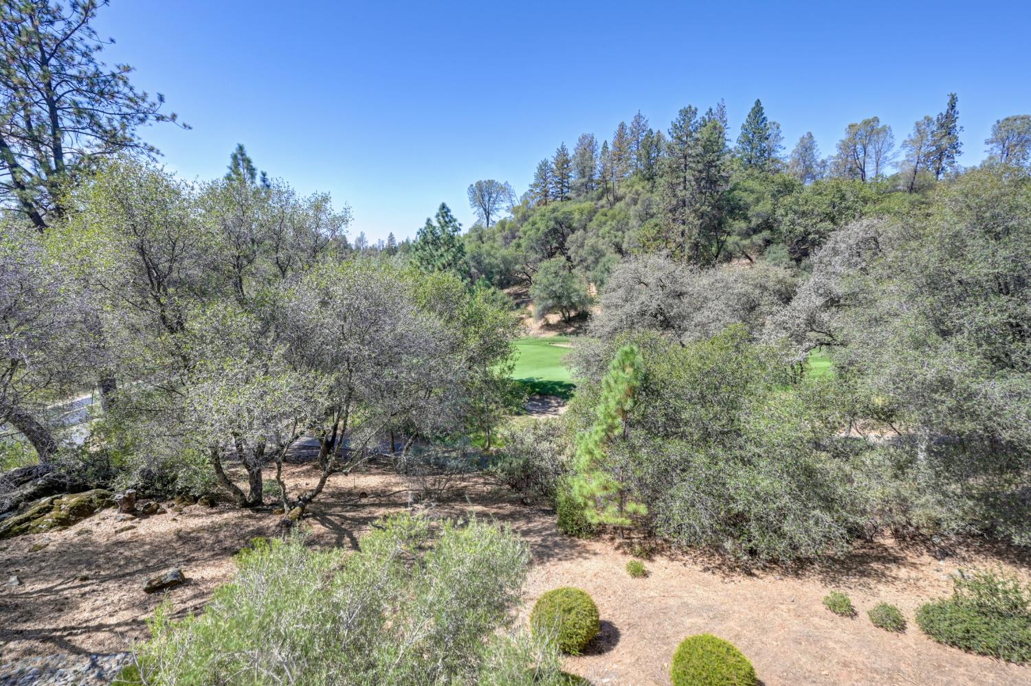 1480 Lodge View Drive