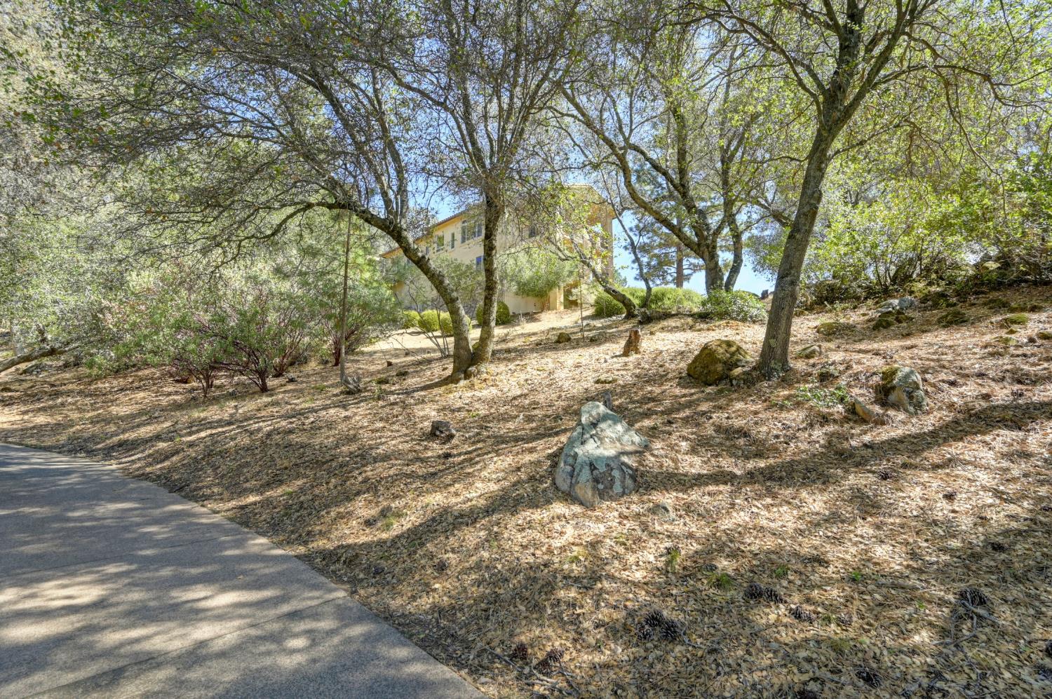 1480 Lodge View Drive