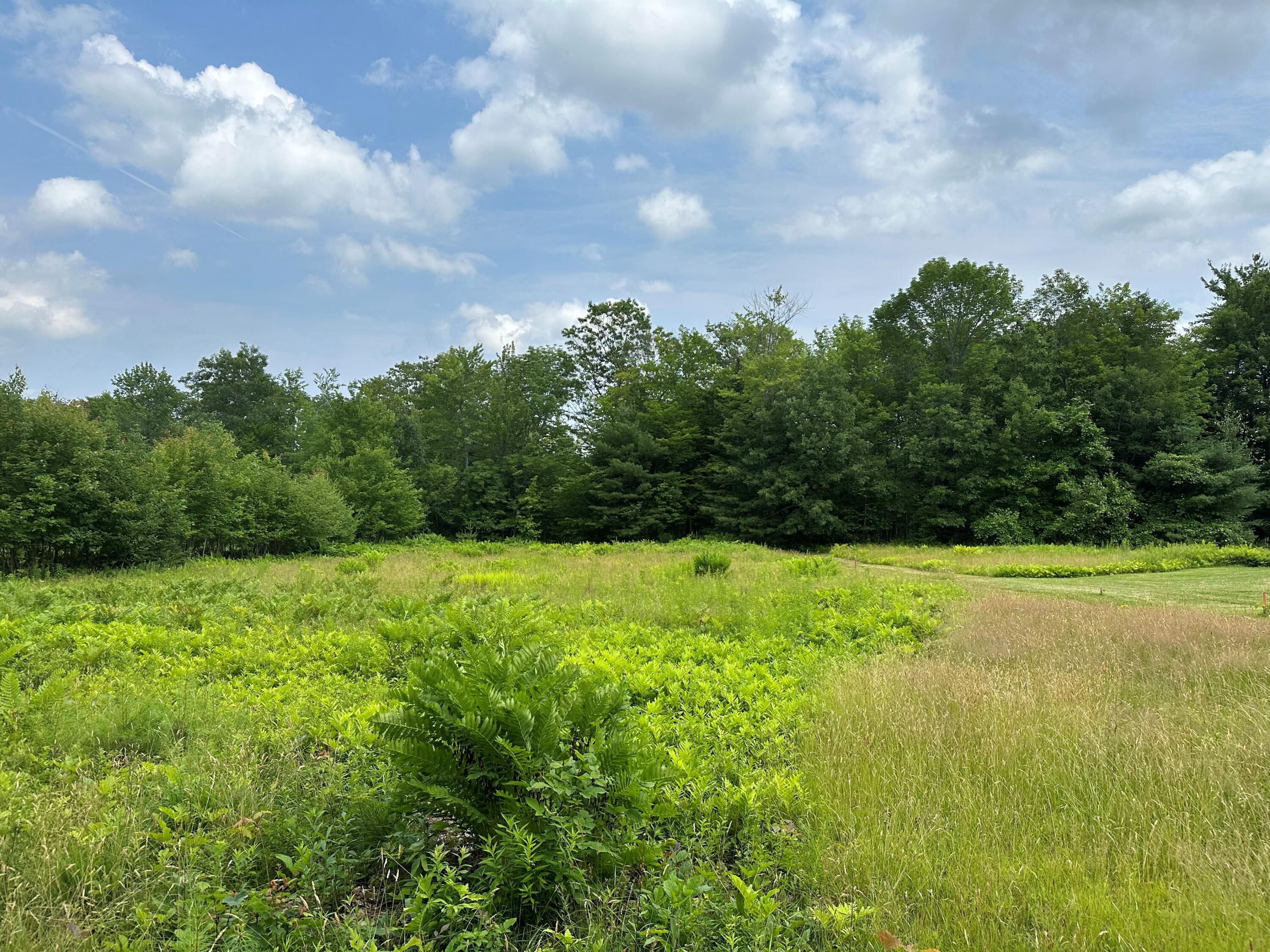 Lot 6-6 Hio Ridge Road