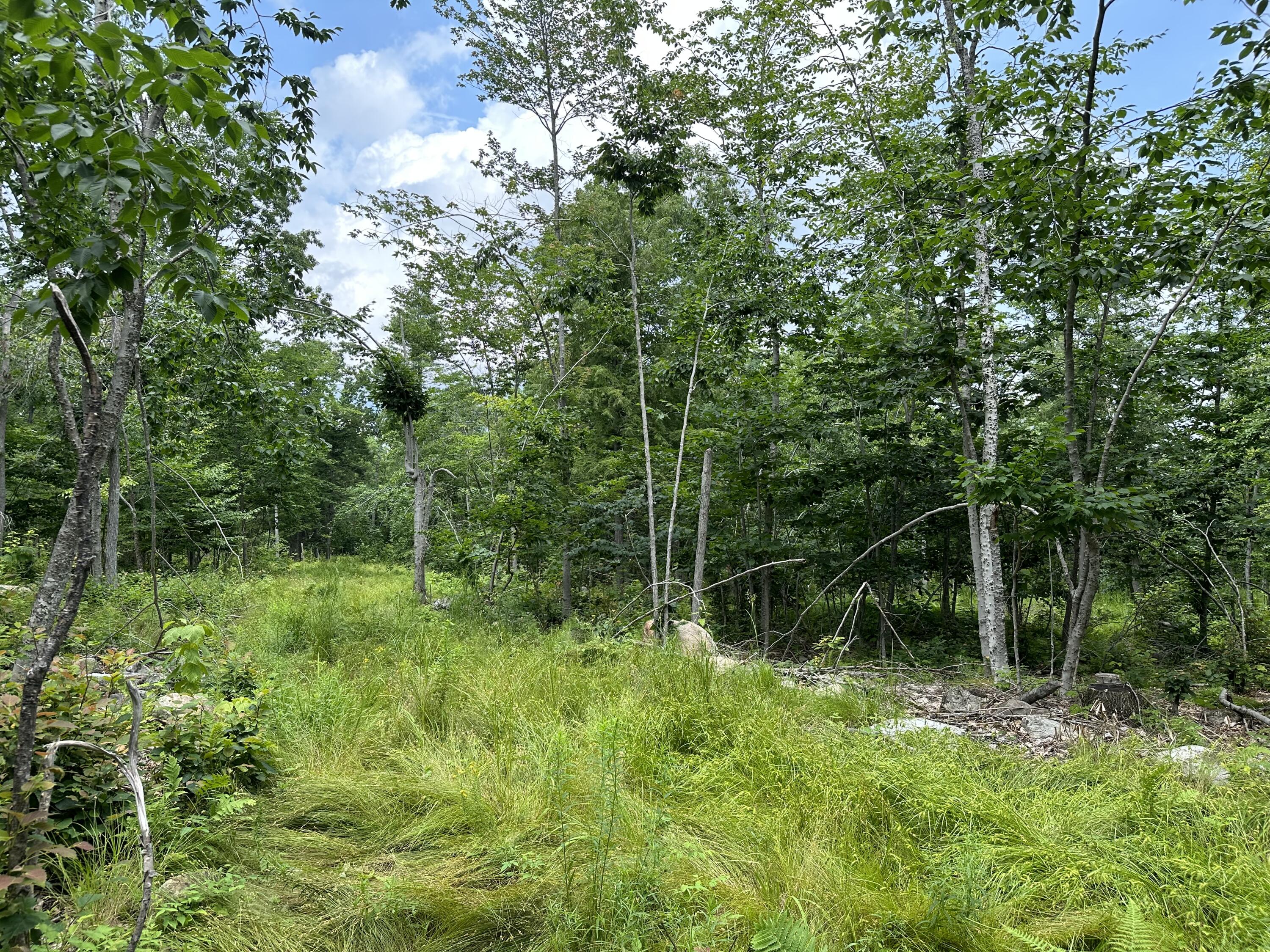 Lot 6-6 Hio Ridge Road