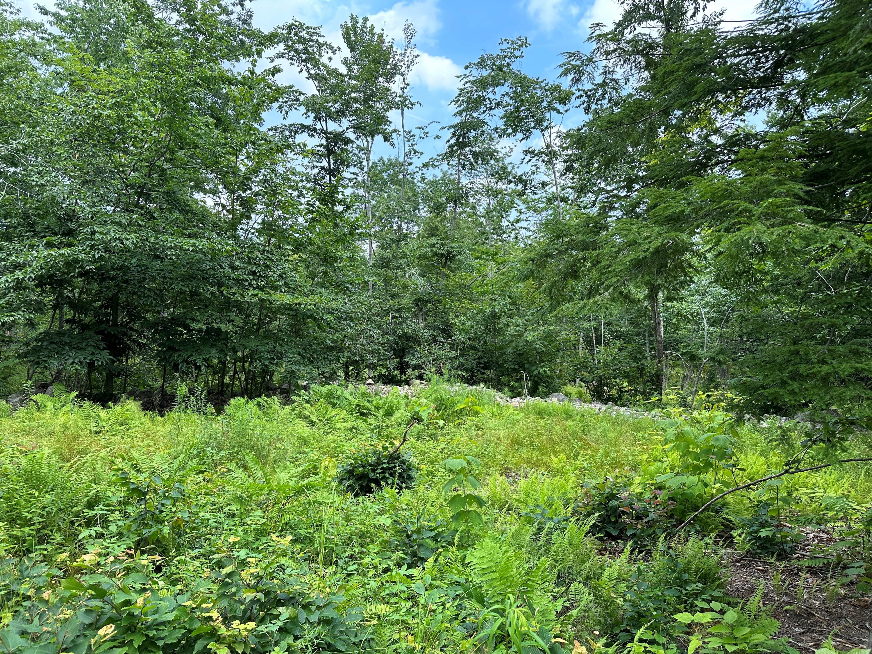 Lot 6-6 Hio Ridge Road