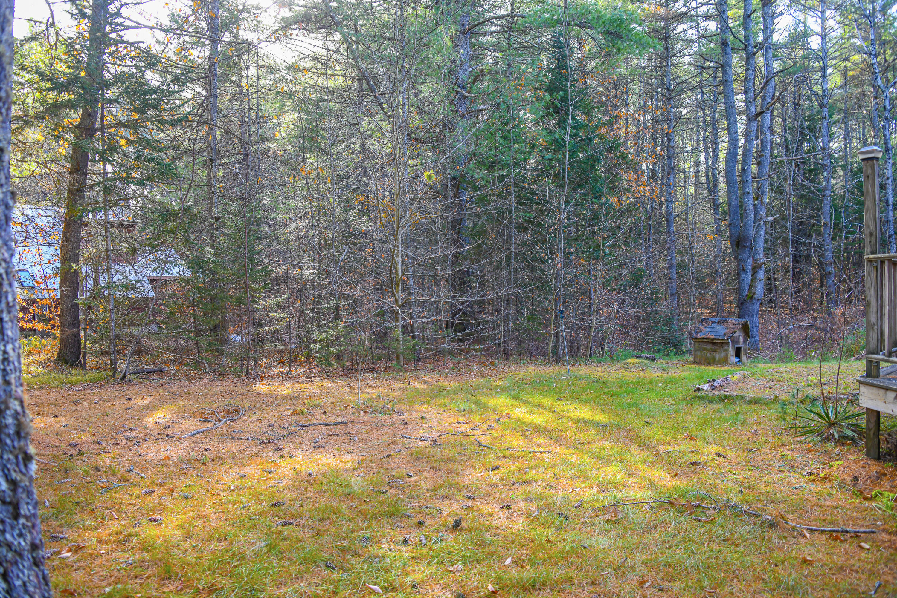 149 Plains Road