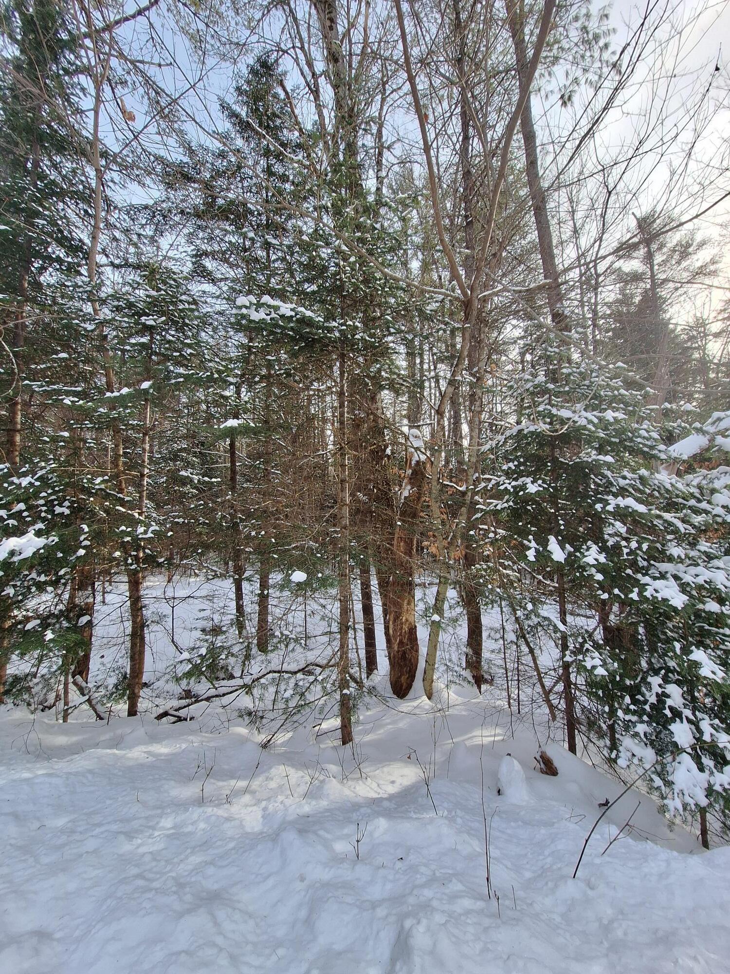 Lot9 Quarterhorse Drive