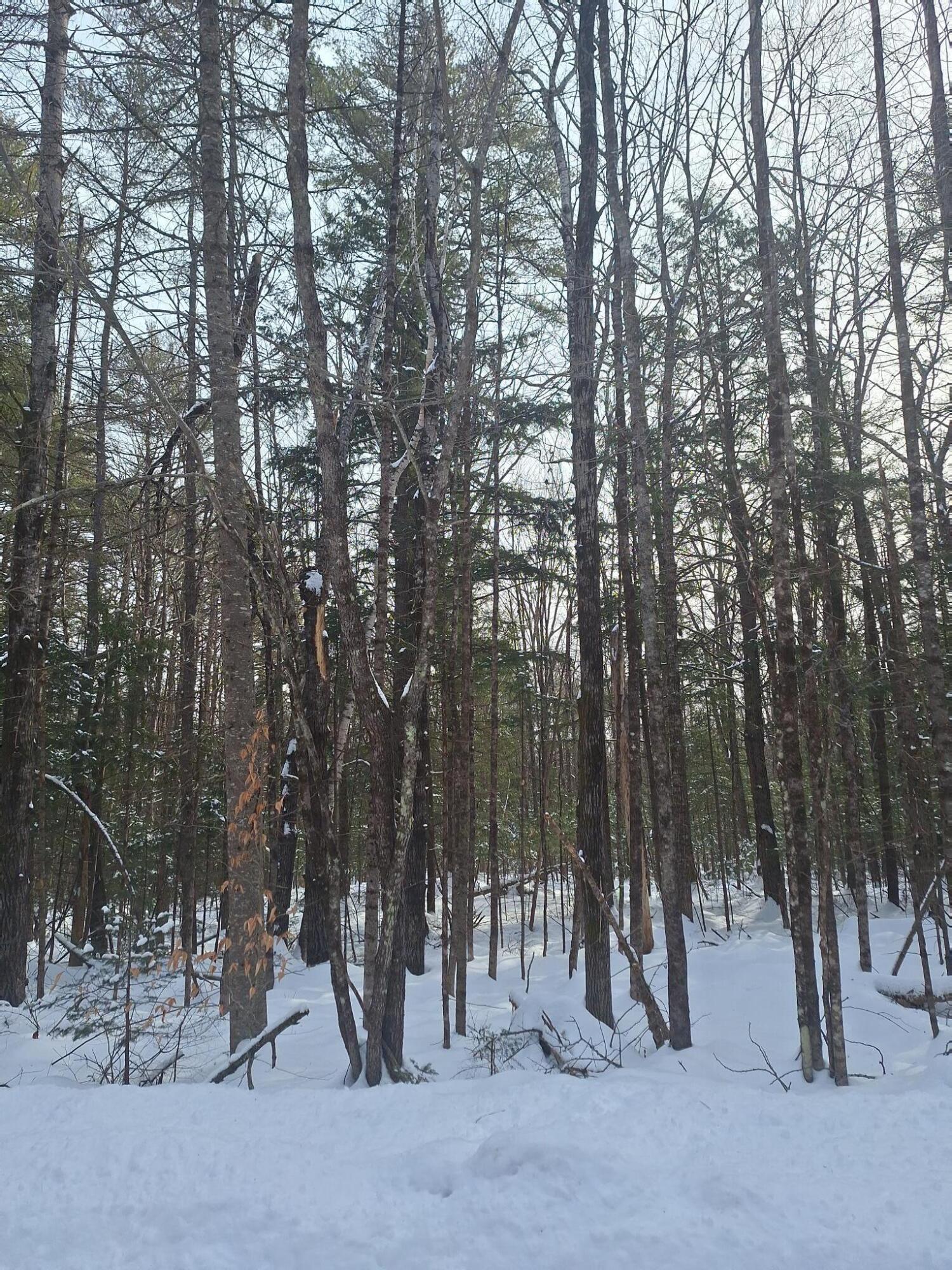 Lot12 Quarterhorse Drive