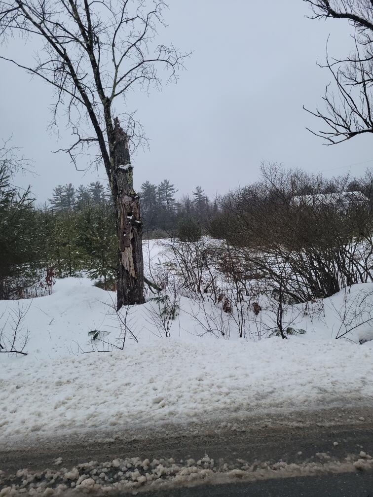 Lot D Middle Ridge Road