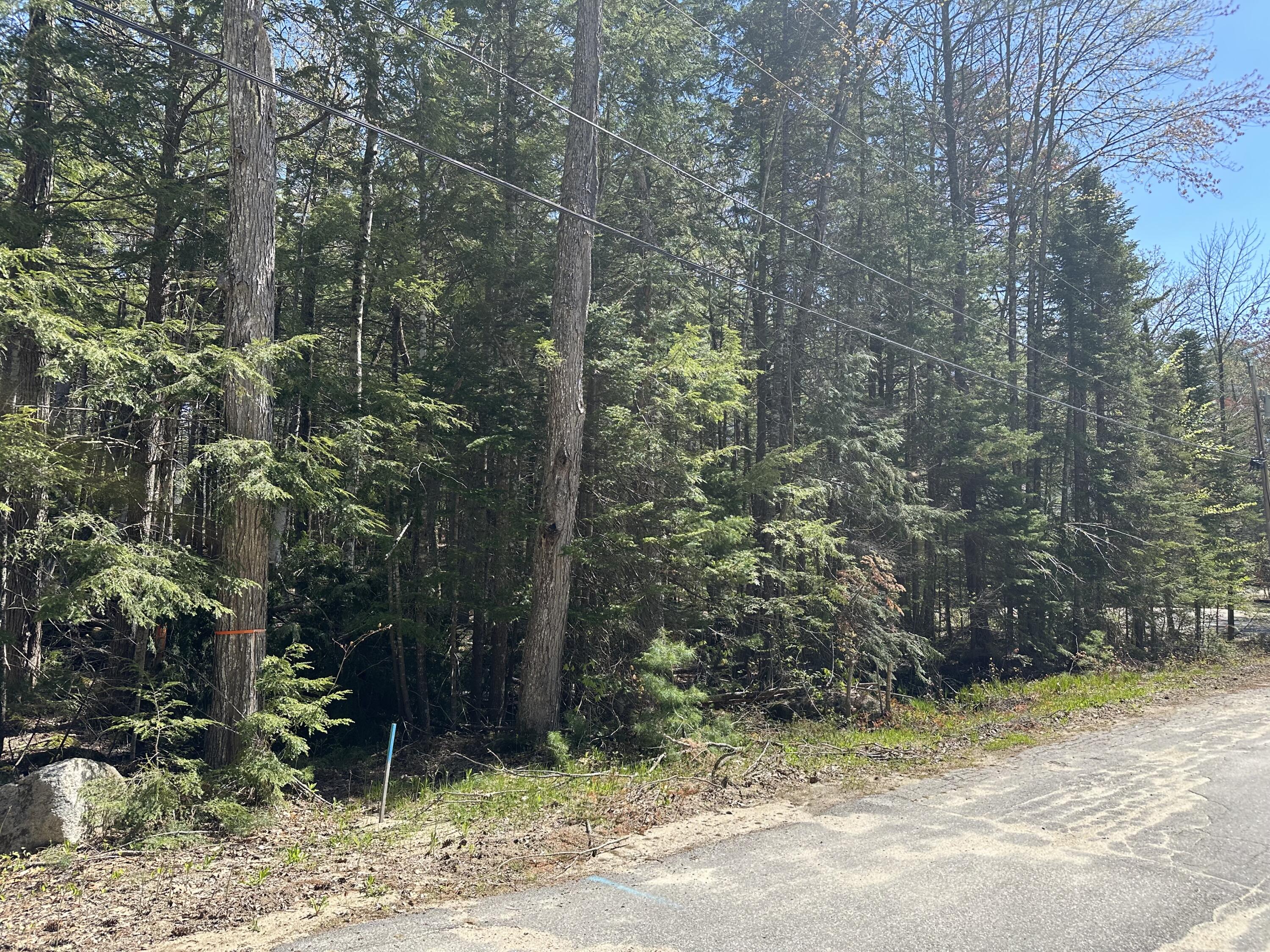 Lot 14 Blue Jay Lane