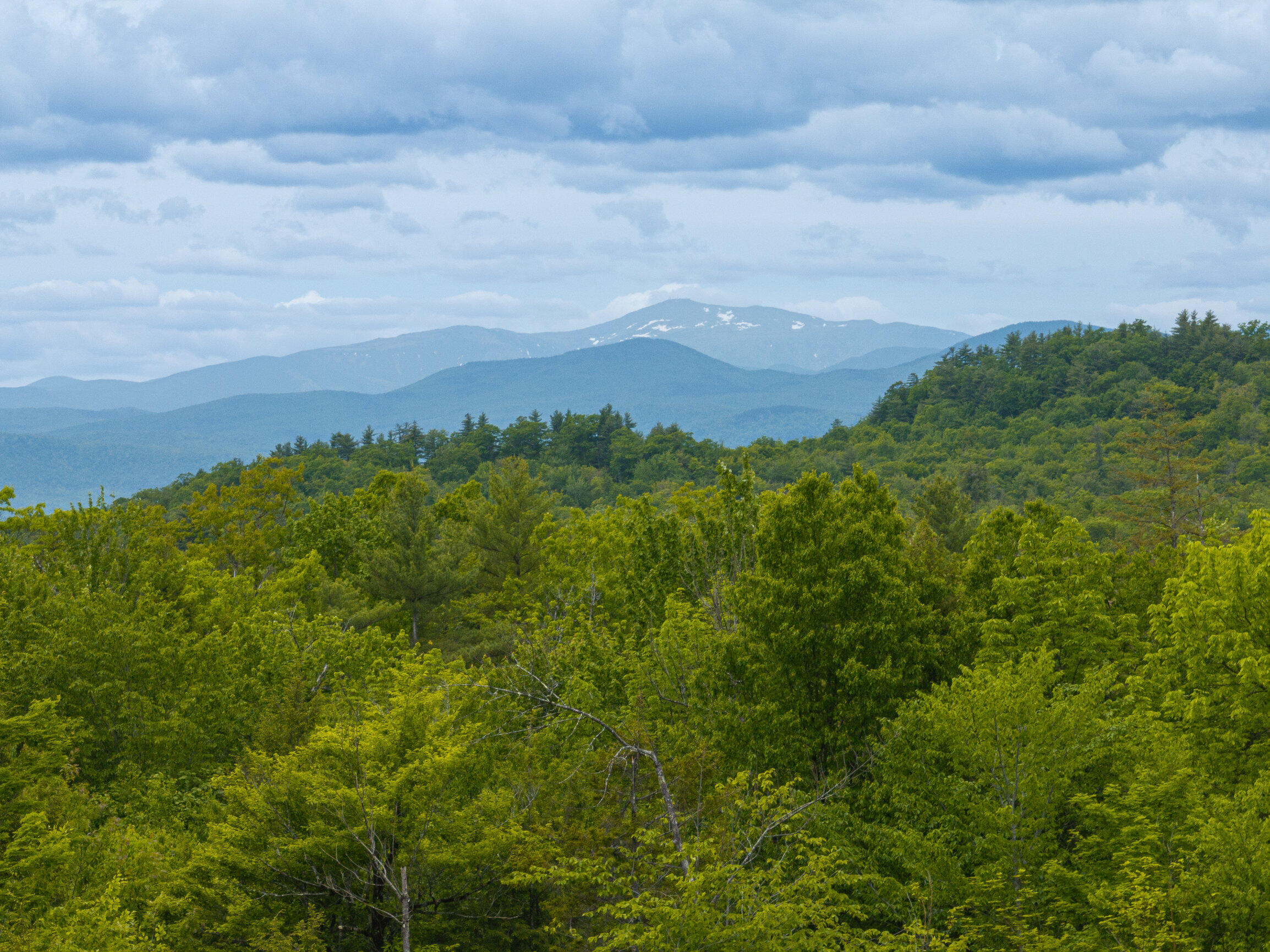 307 Black Mountain Road