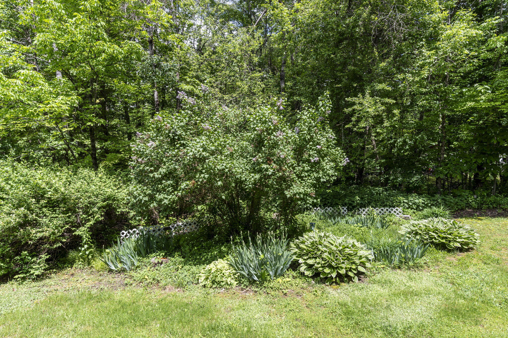 381 Bridgton Road