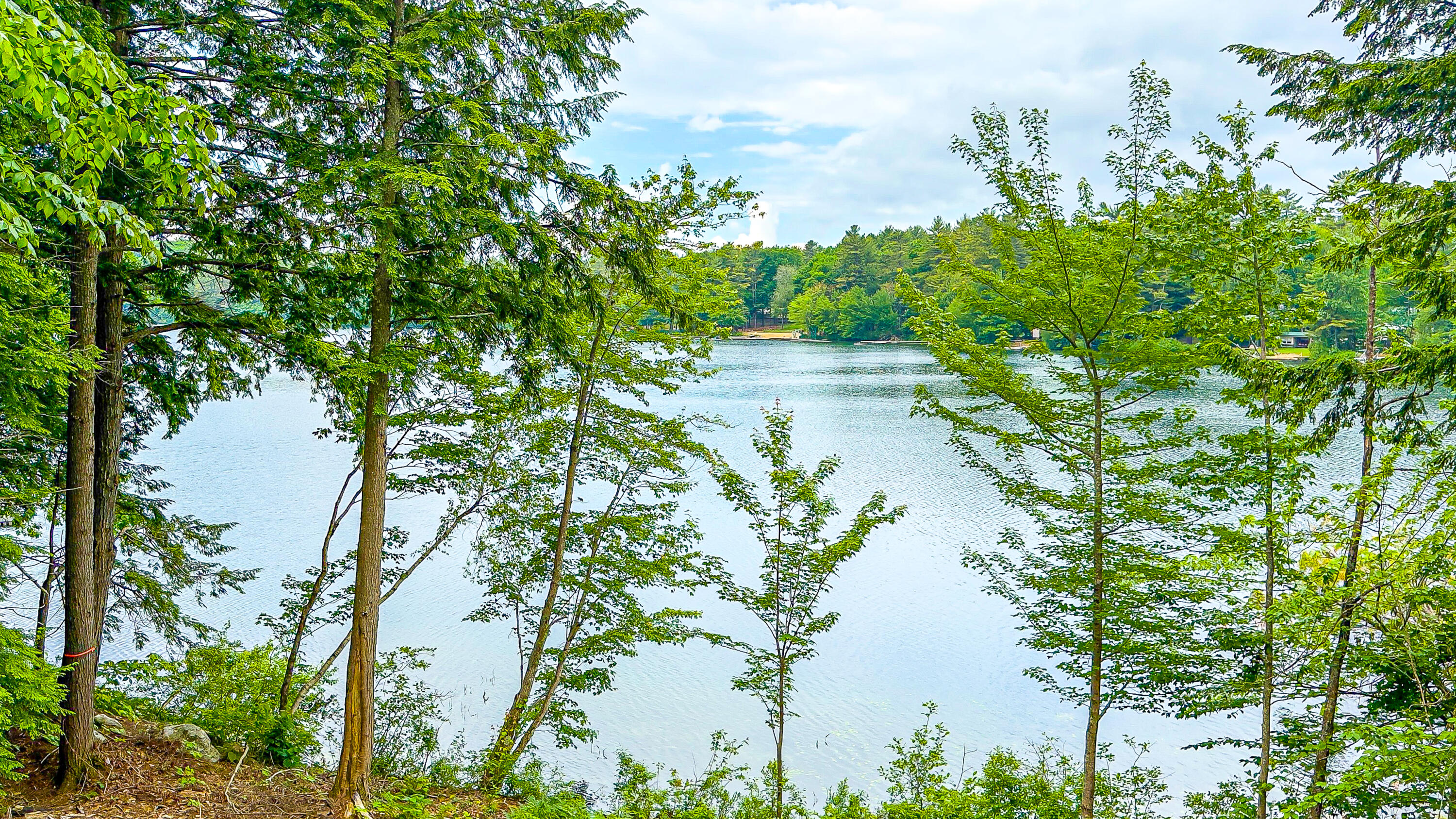 107 Coffee Pond Road