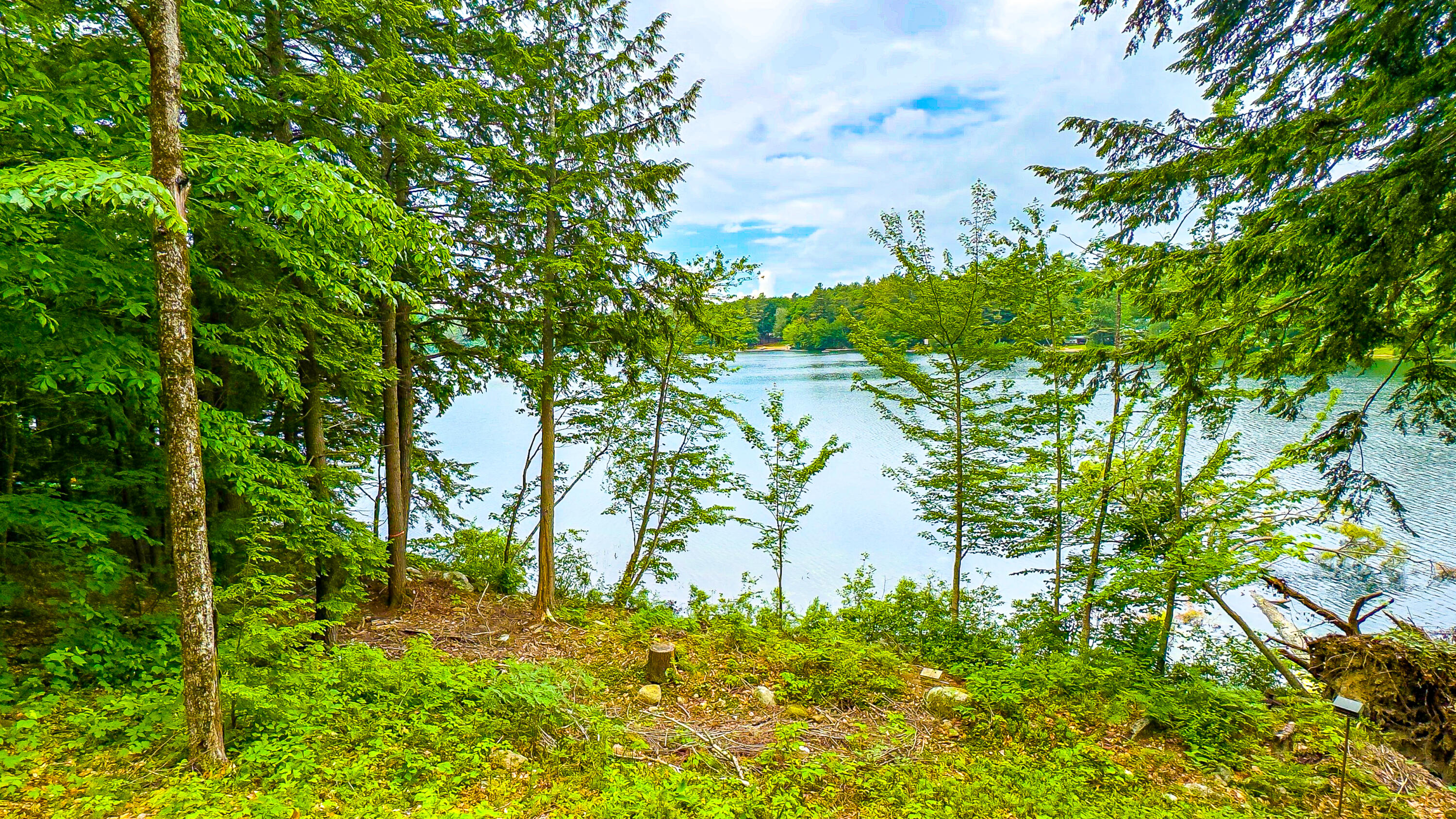 107 Coffee Pond Road