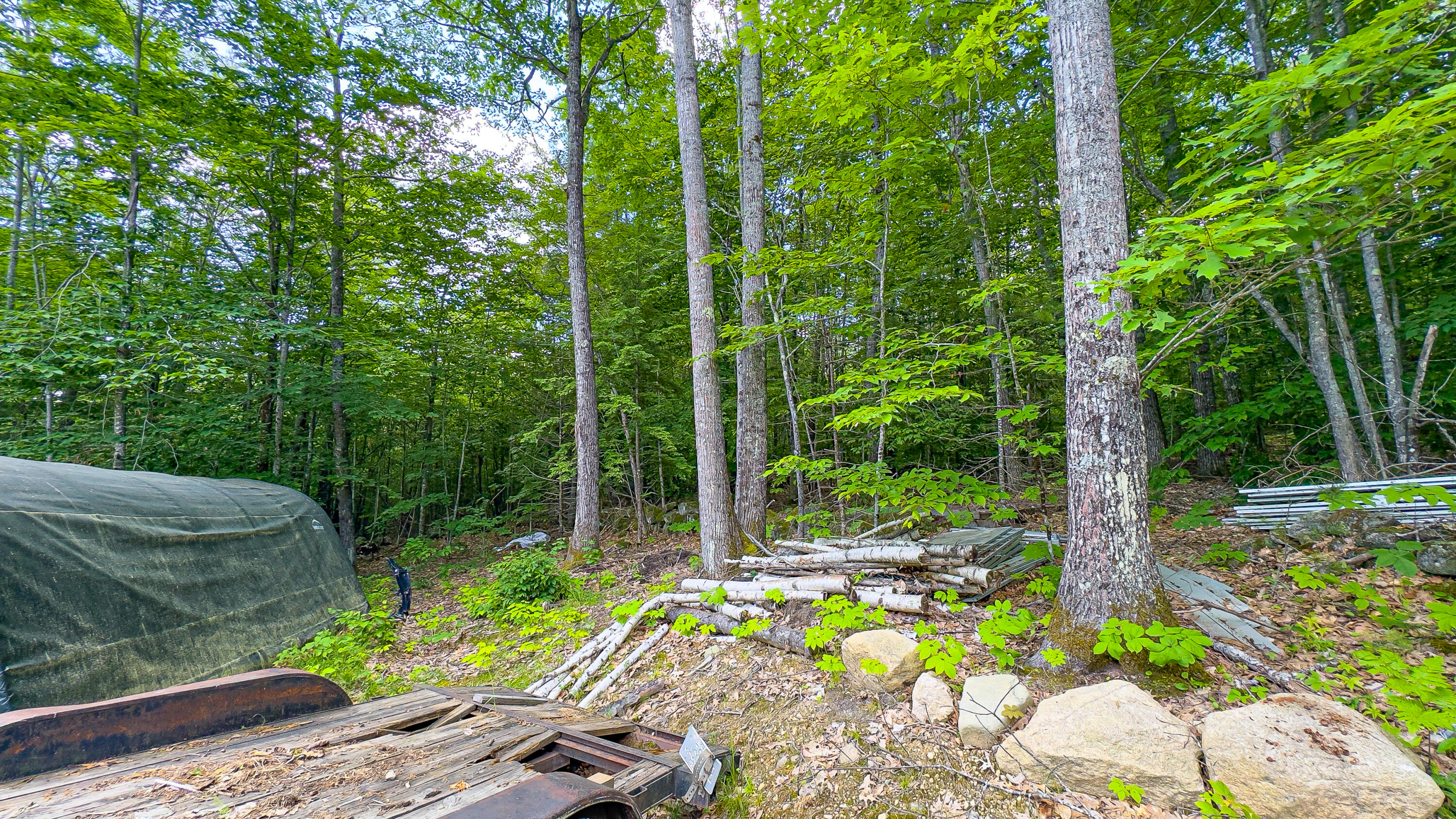 55 Del Chadbourne Road