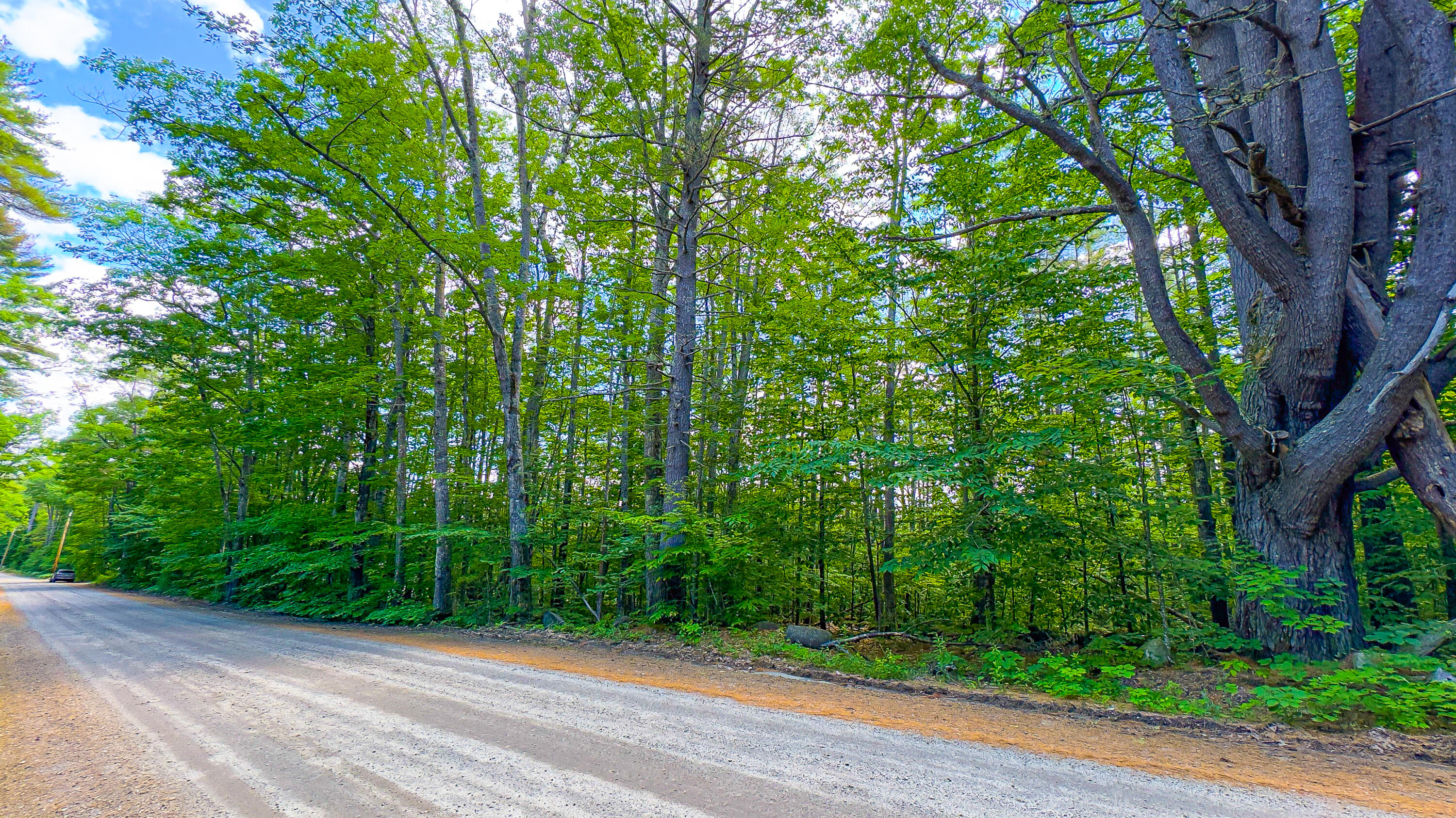55 Del Chadbourne Road