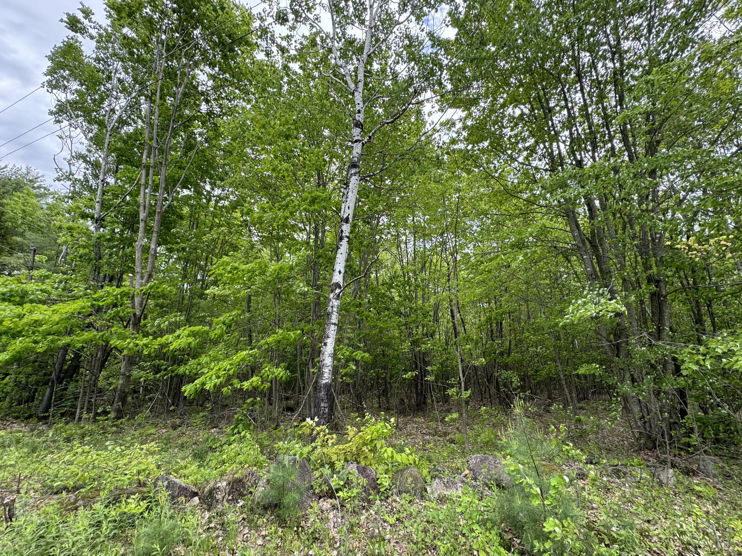 43a North Road