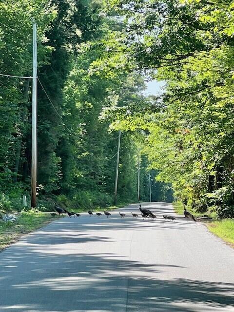 Lot 1 Hawk Mountain Road
