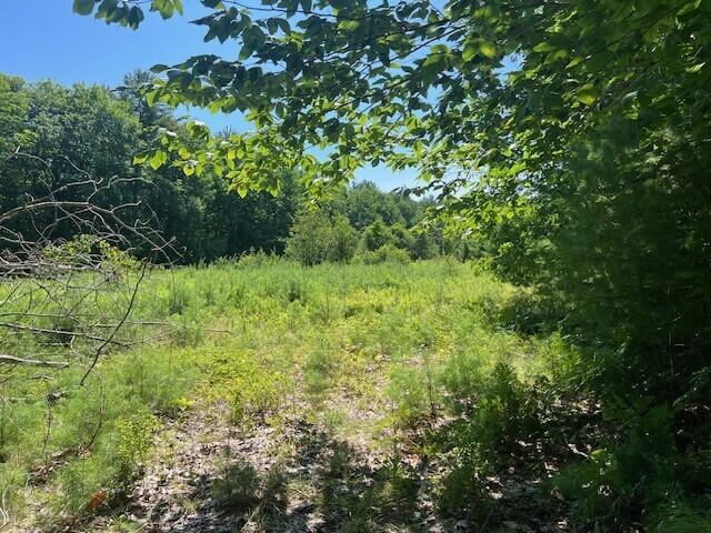 Lot 1 Hawk Mountain Road