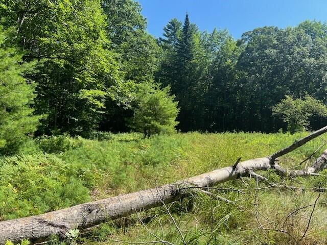 Lot 1 Hawk Mountain Road