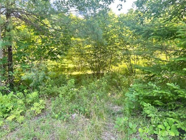 Lot 1 Hawk Mountain Road