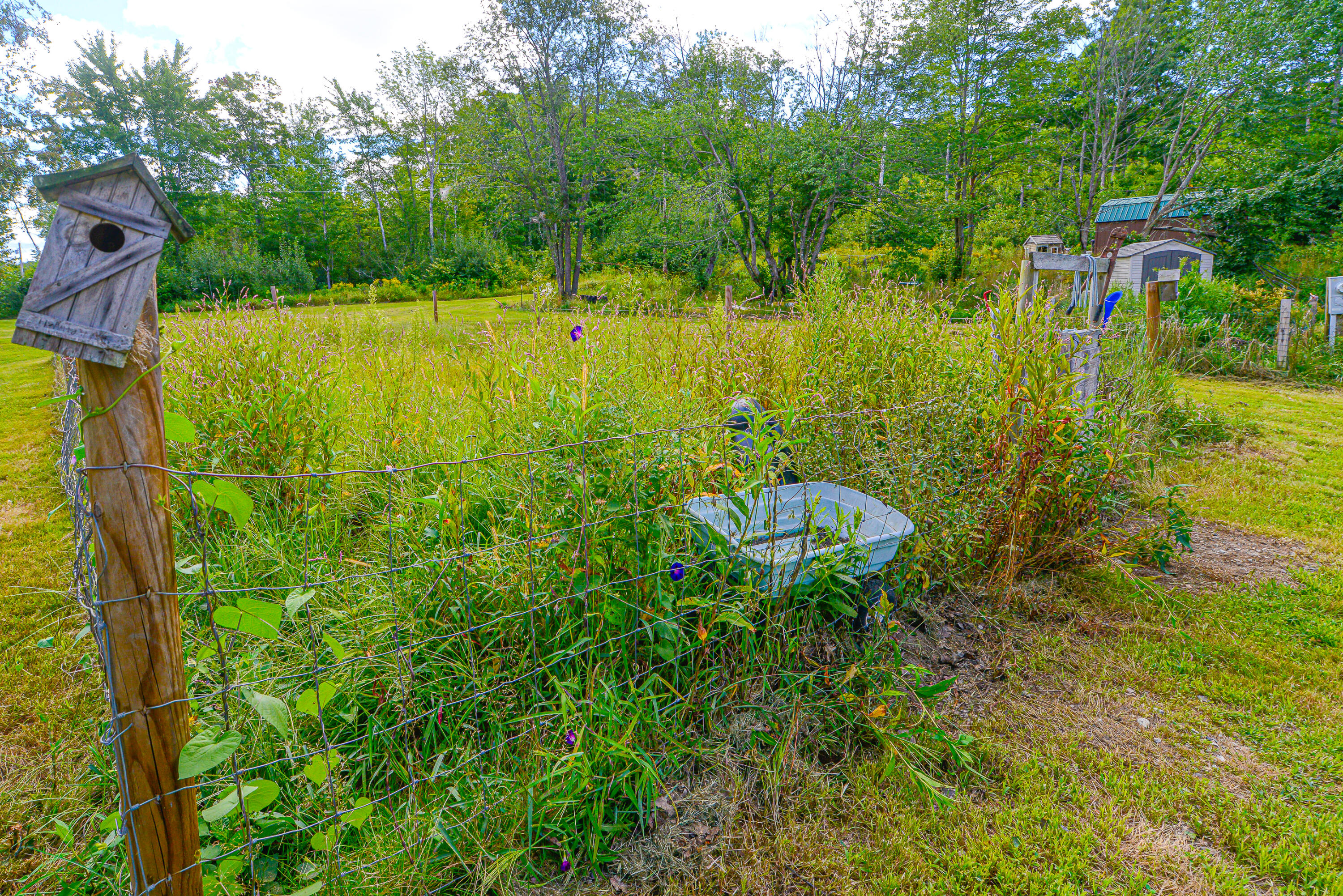 229 Burnt Meadow Road