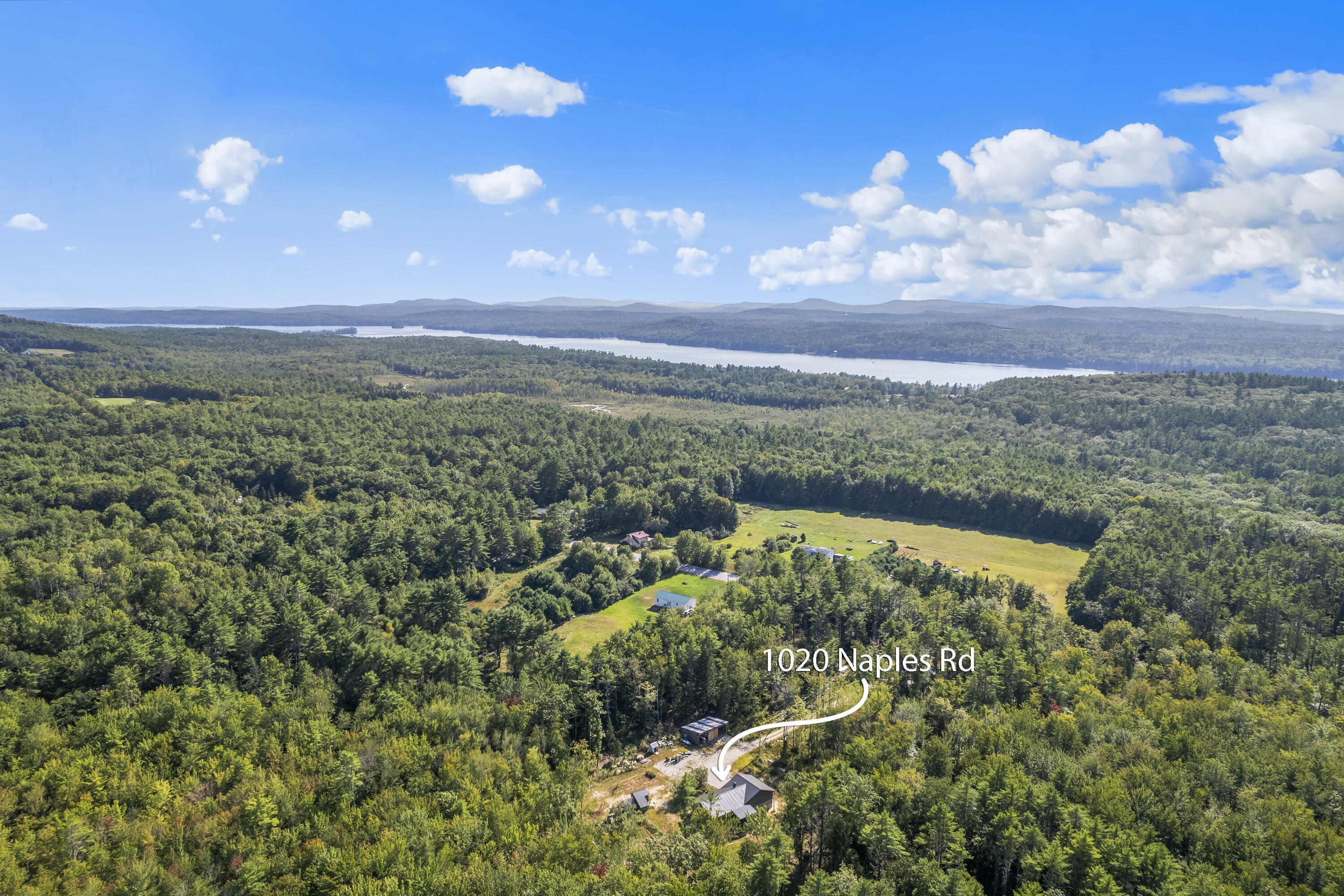 1020 Naples Road
